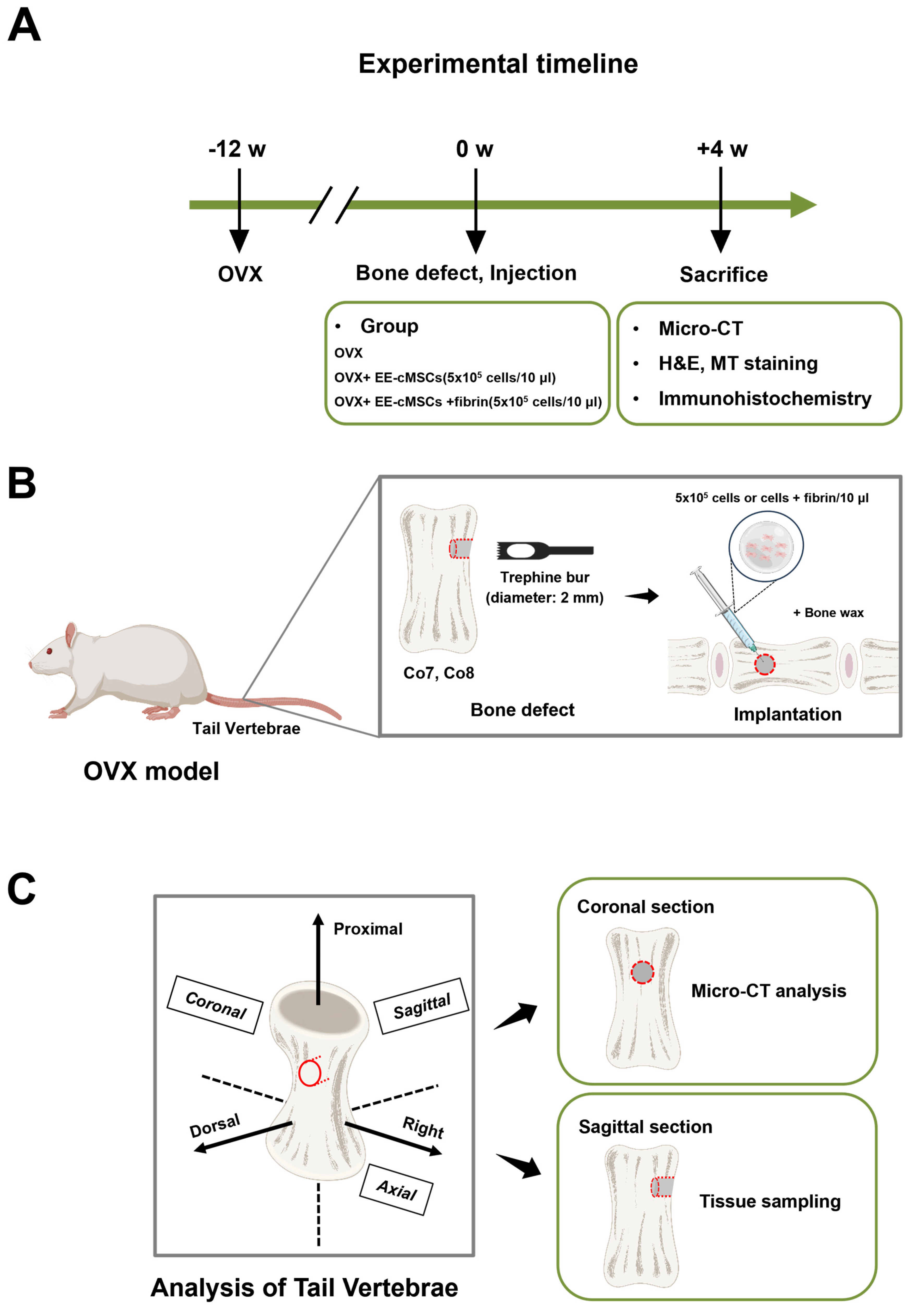 Ijms 25 08174 g003 Ijms 25 08174 g003