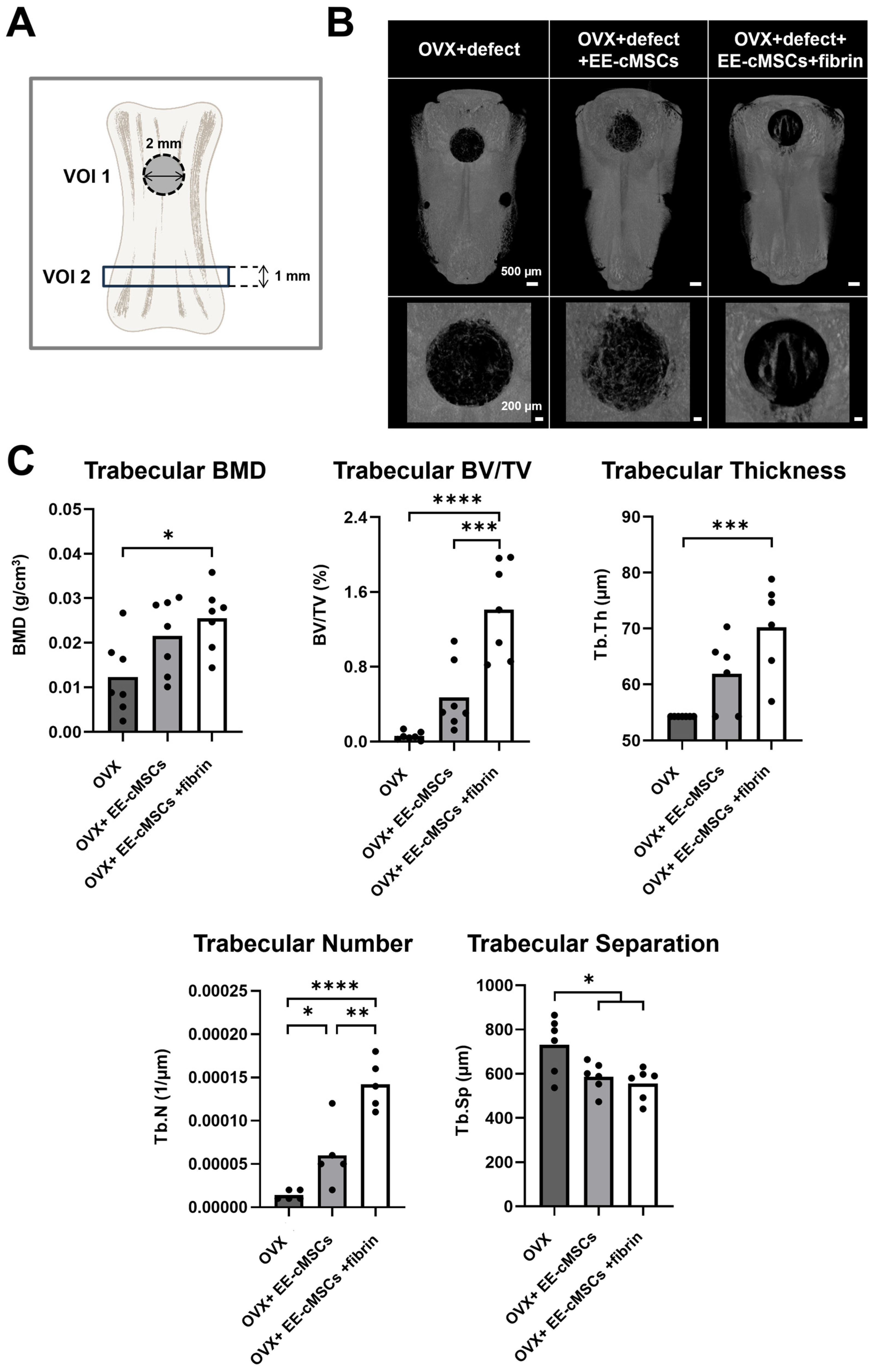 Ijms 25 08174 g004a Ijms 25 08174 g004a