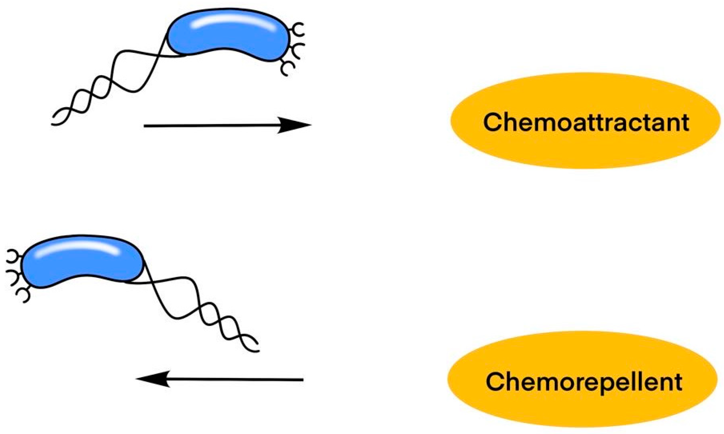Polynucleotides in Aesthetic Medicine: A Review of Current Practices and  Perceived Effectiveness