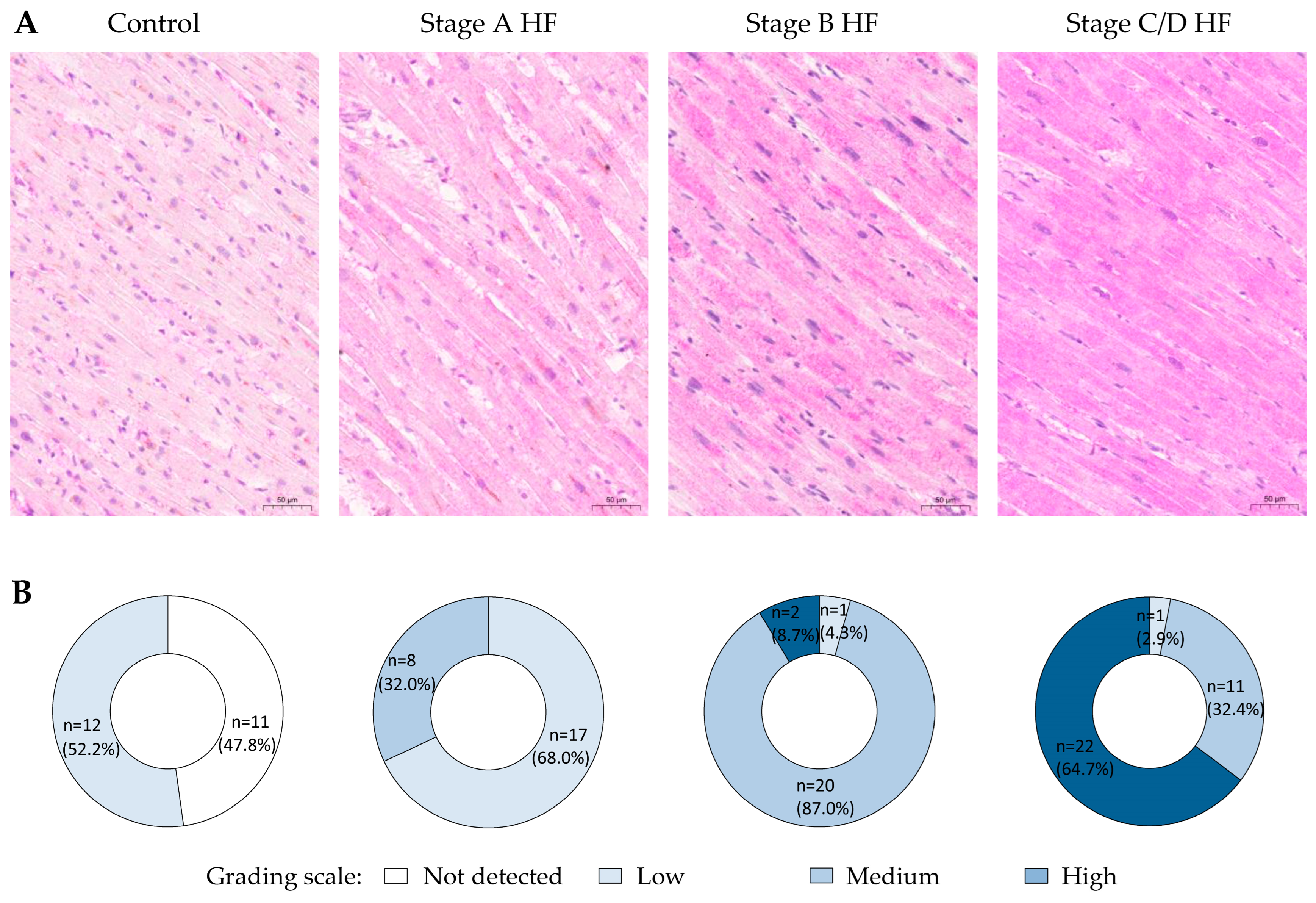 Ijms 25 08240 g003 Ijms 25 08240 g003