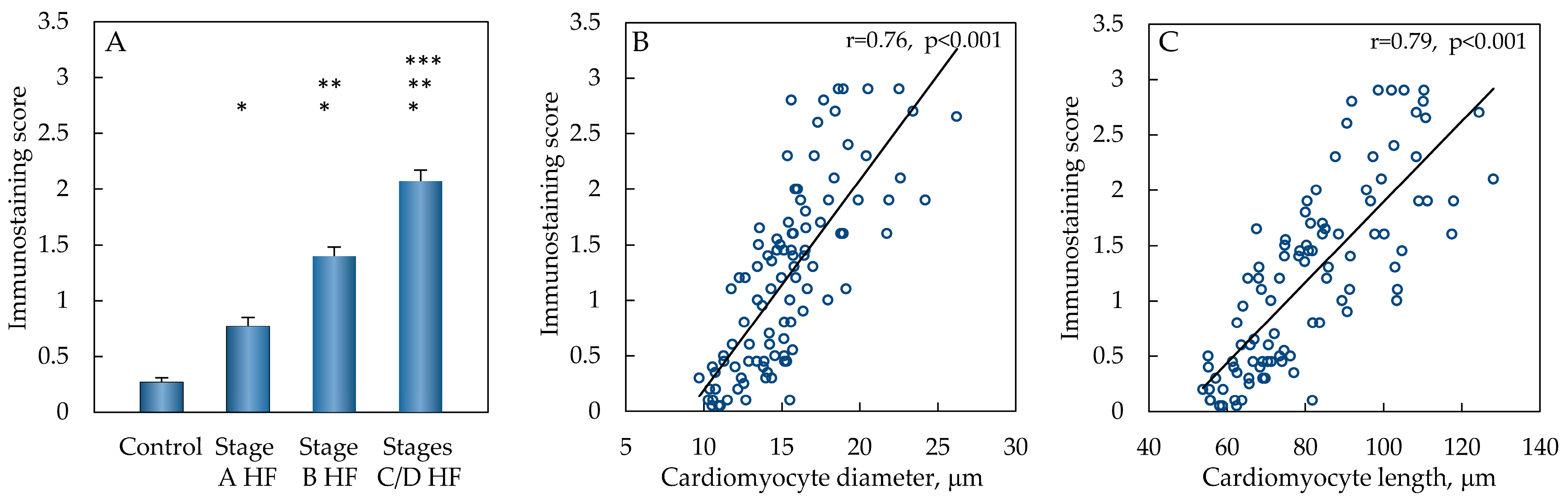 Ijms 25 08240 g004 Ijms 25 08240 g004