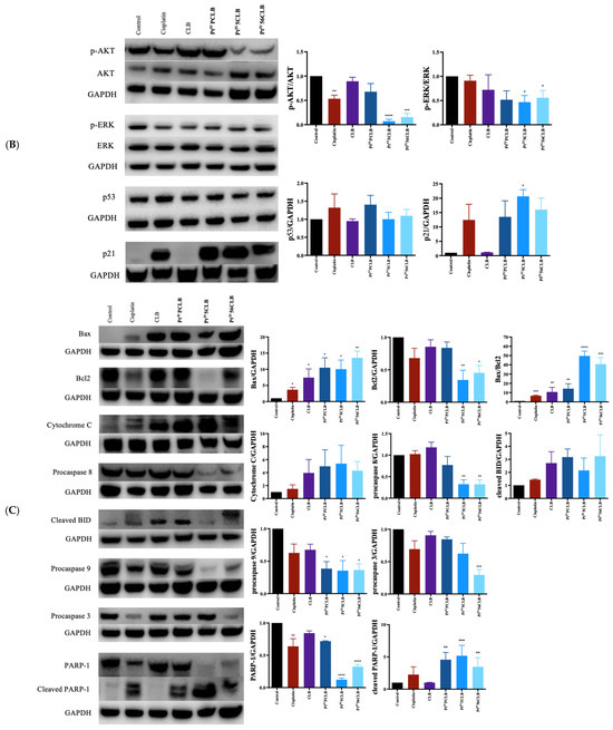 Chemotherapeutic Potential of Chlorambucil-Platinum(IV Chemotherapeutic Potential of Chlorambucil-Platinum(IV