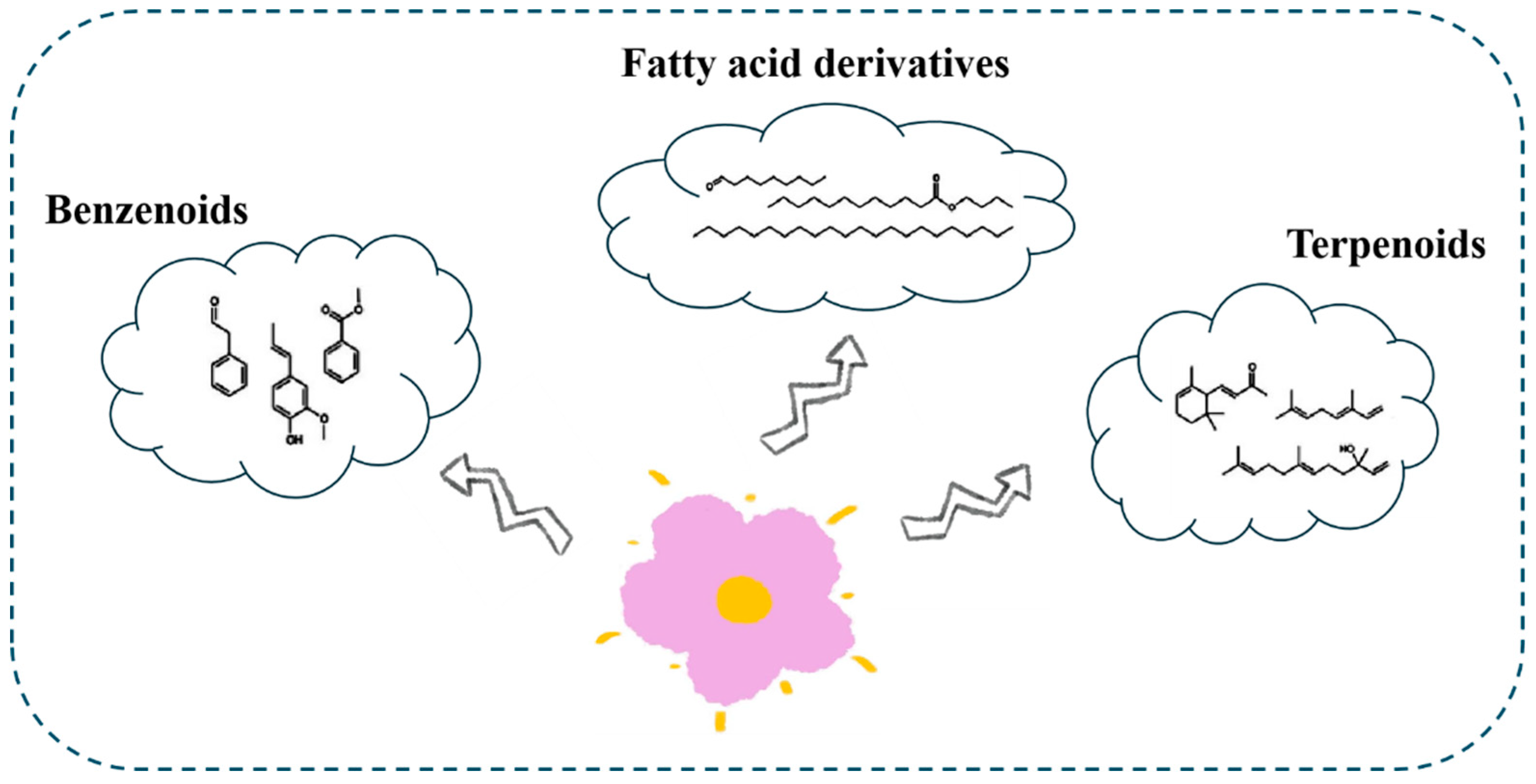 Ijms 25 08267 g002 Ijms 25 08267 g002