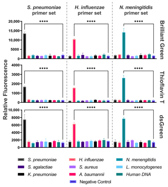 A DAMP-Based Assay for Rapid and Affordable Diagnosis of