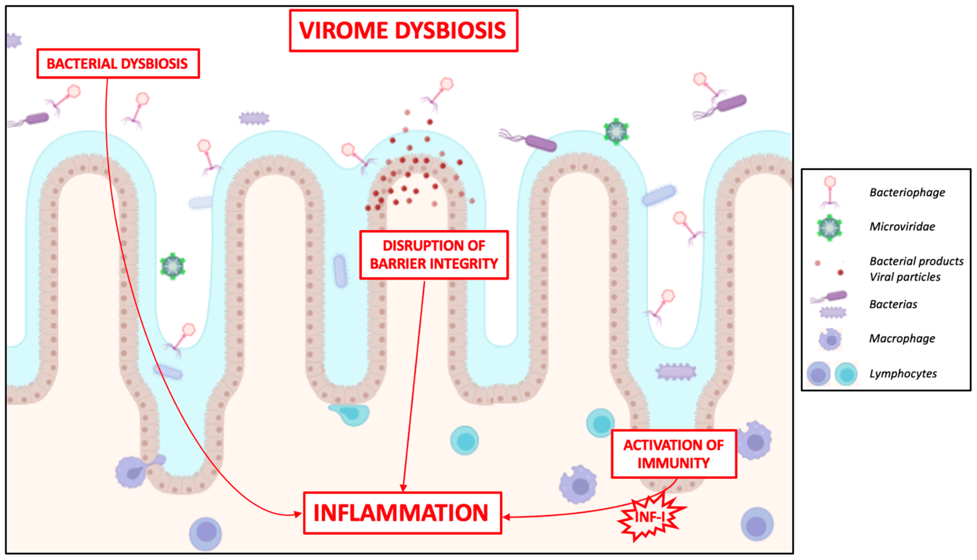 Ijms 25 08301 g002 Ijms 25 08301 g002