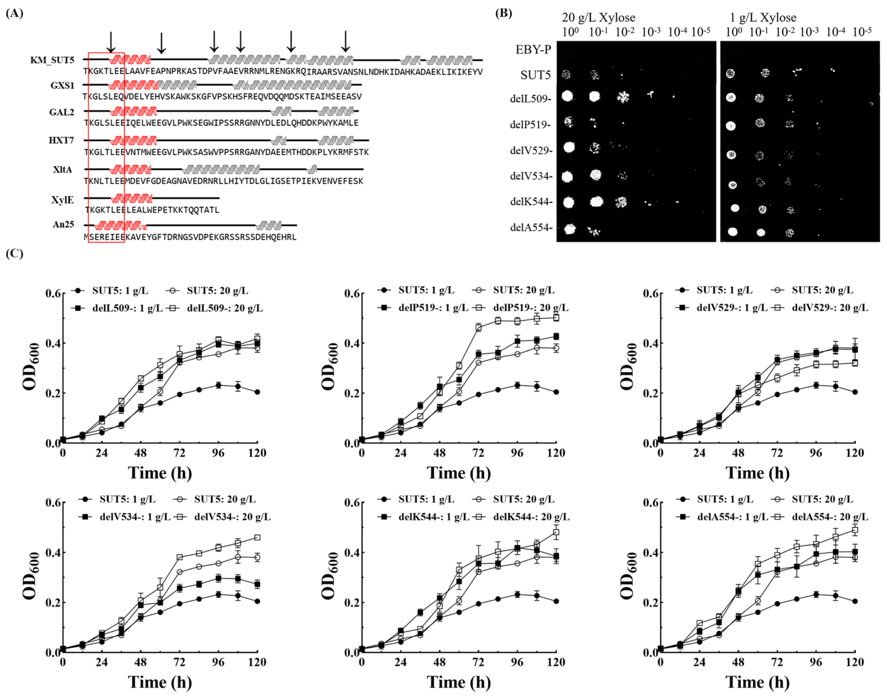 Ijms 25 08322 g005 Ijms 25 08322 g005
