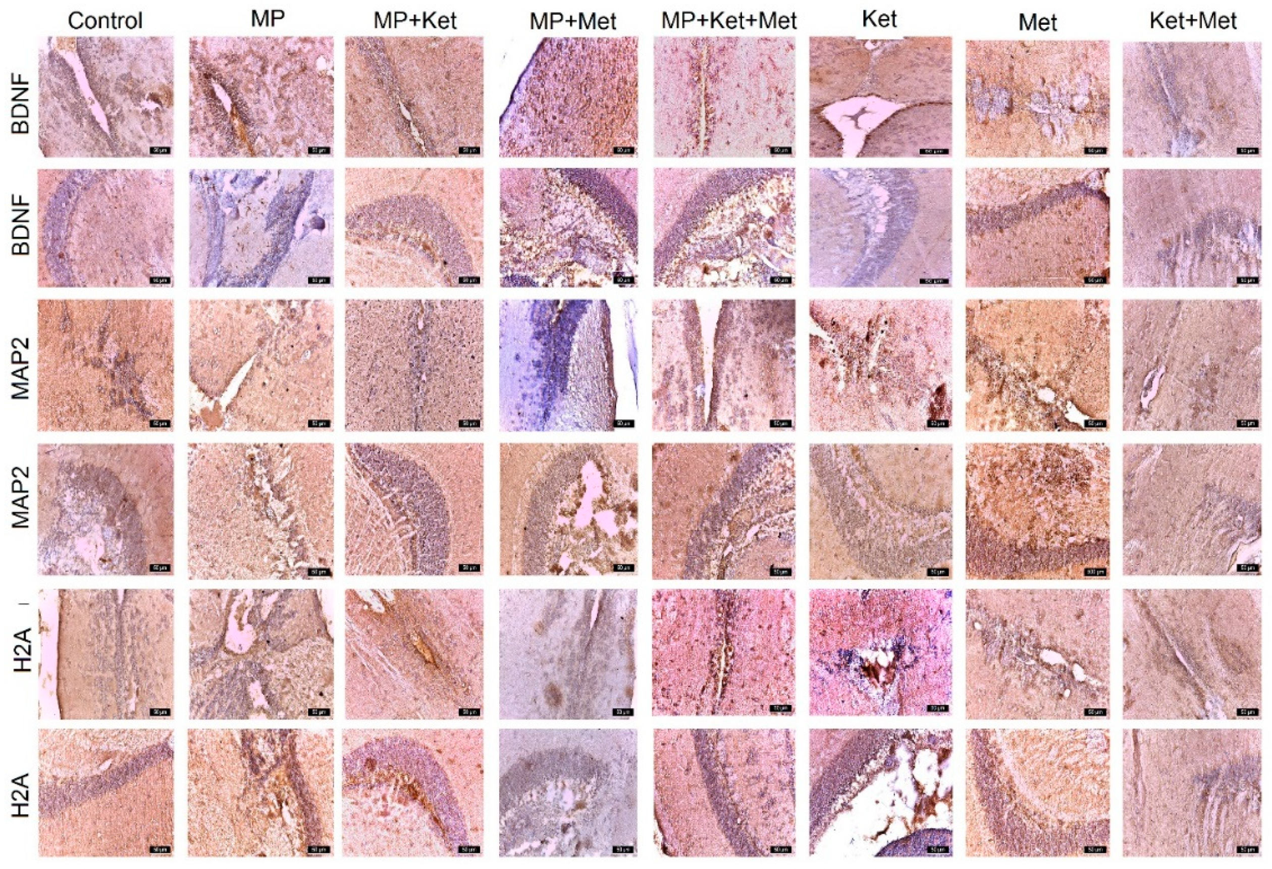 Ijms 25 08331 g003 Ijms 25 08331 g003