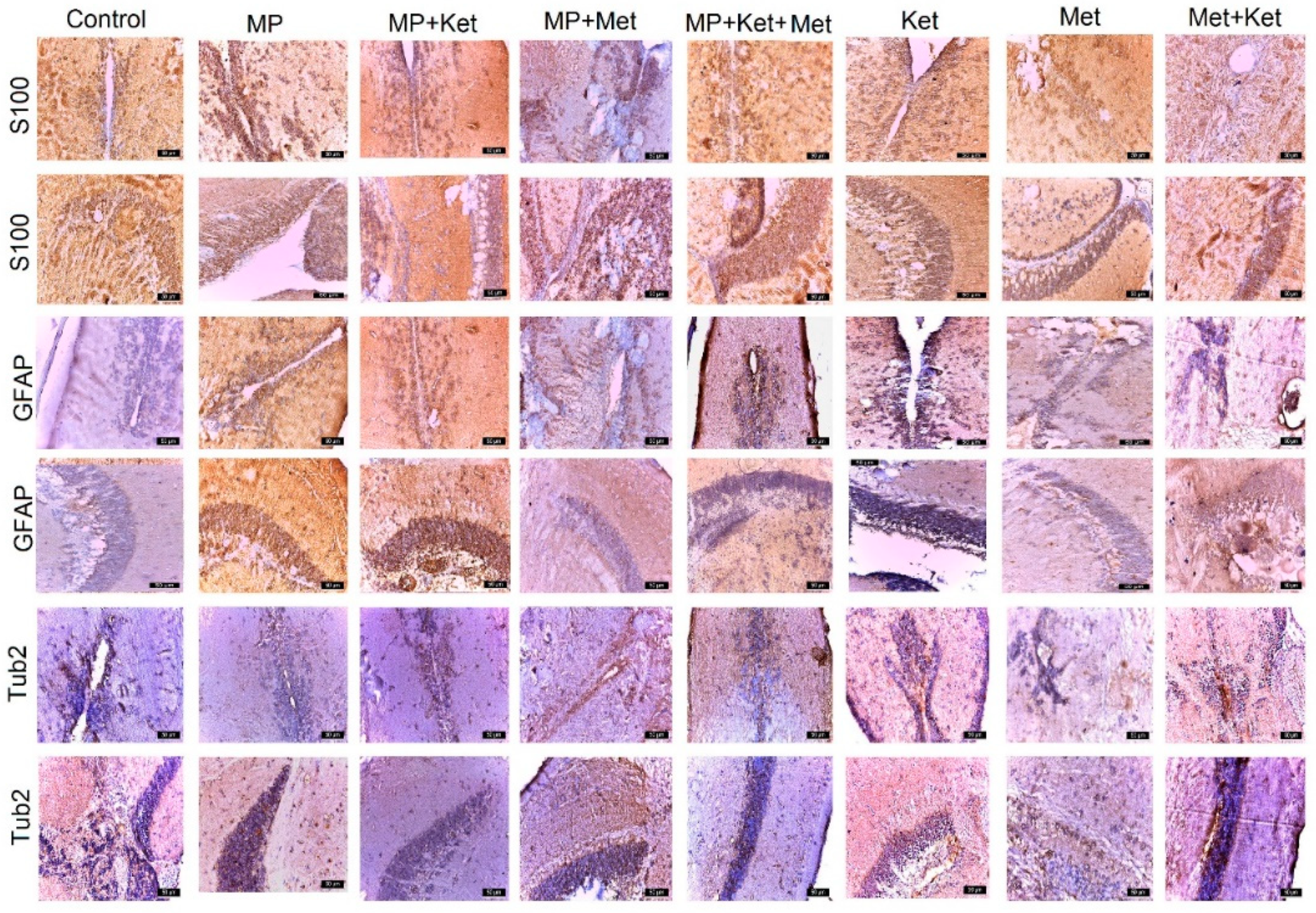 Ijms 25 08331 g004 Ijms 25 08331 g004