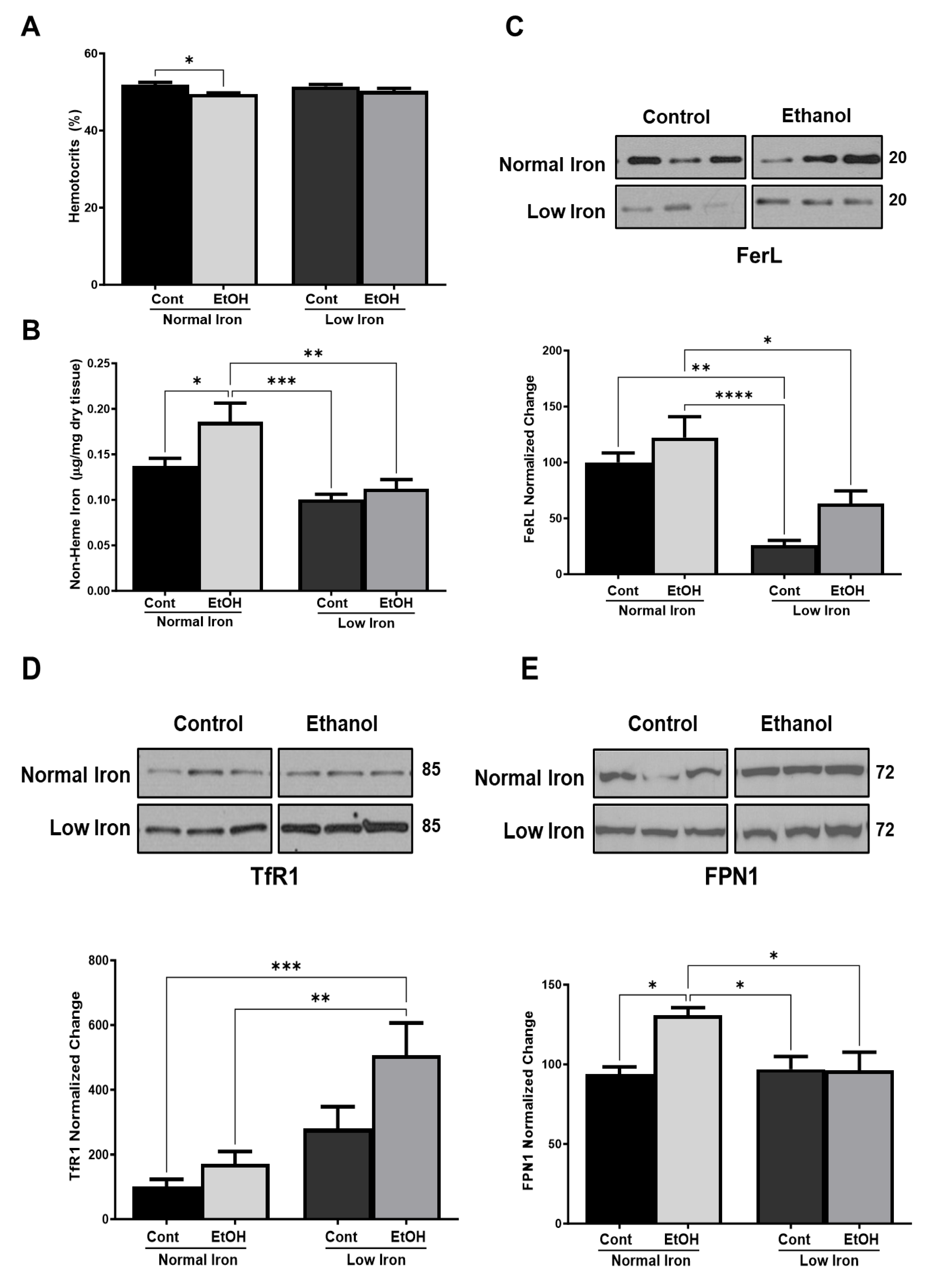 Ijms 25 08344 g002 Ijms 25 08344 g002