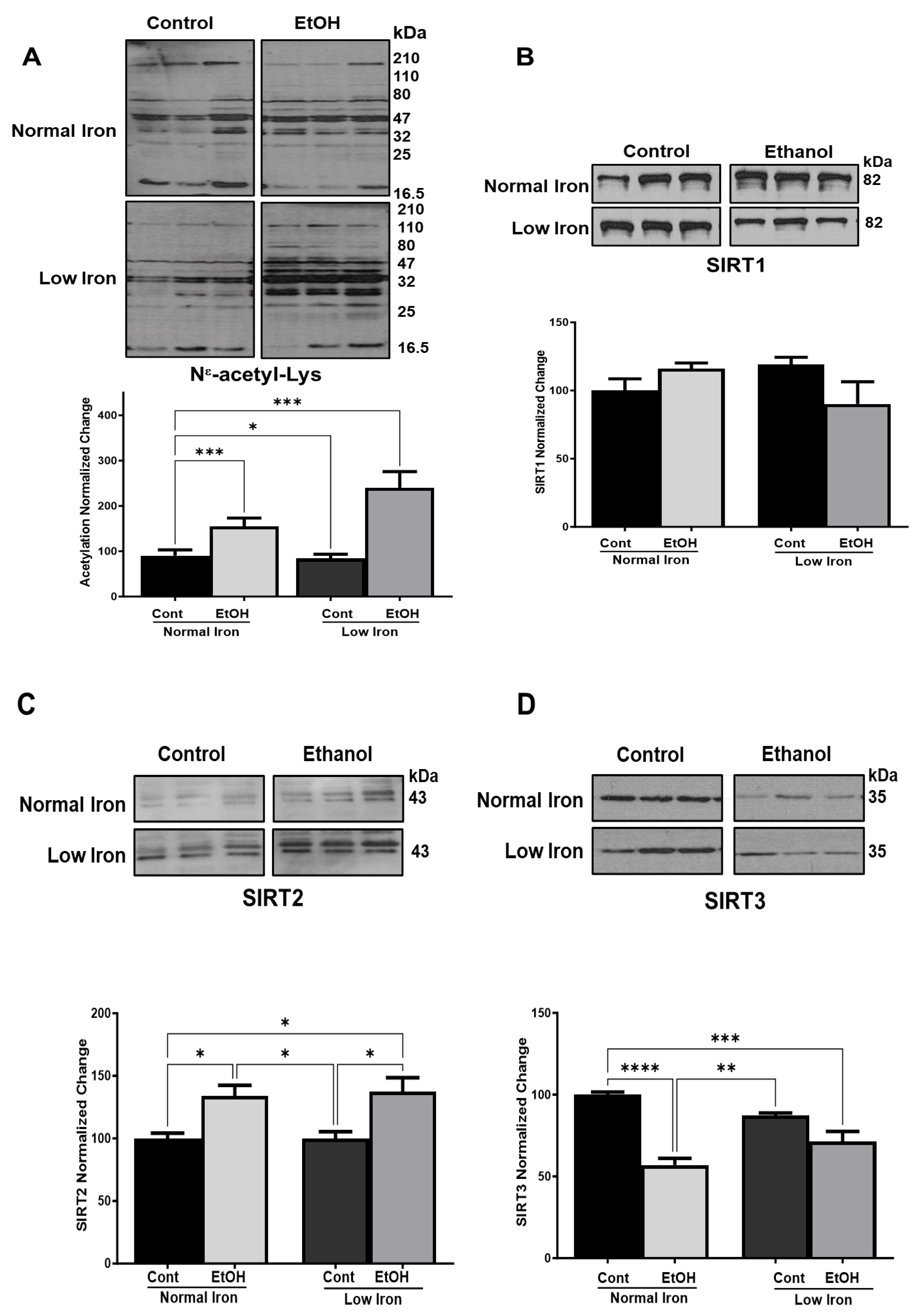 Ijms 25 08344 g004 Ijms 25 08344 g004