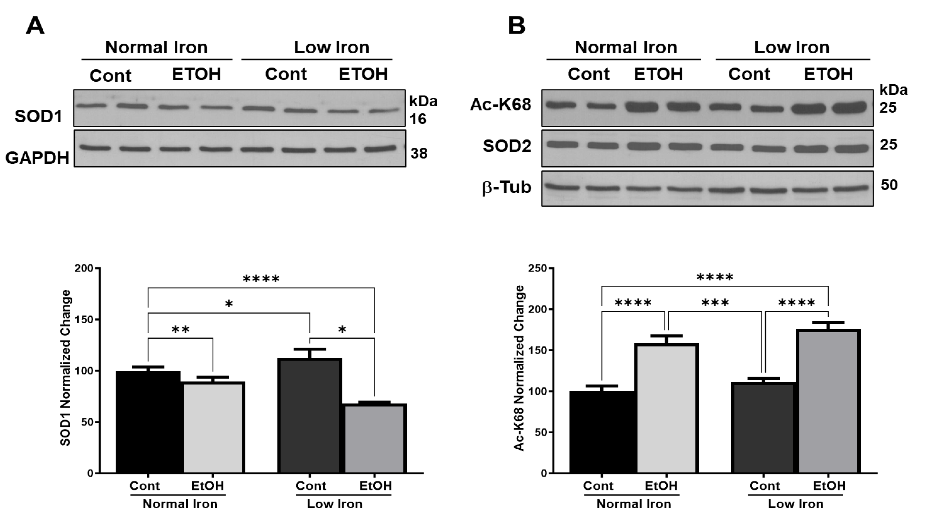 Ijms 25 08344 g005 Ijms 25 08344 g005