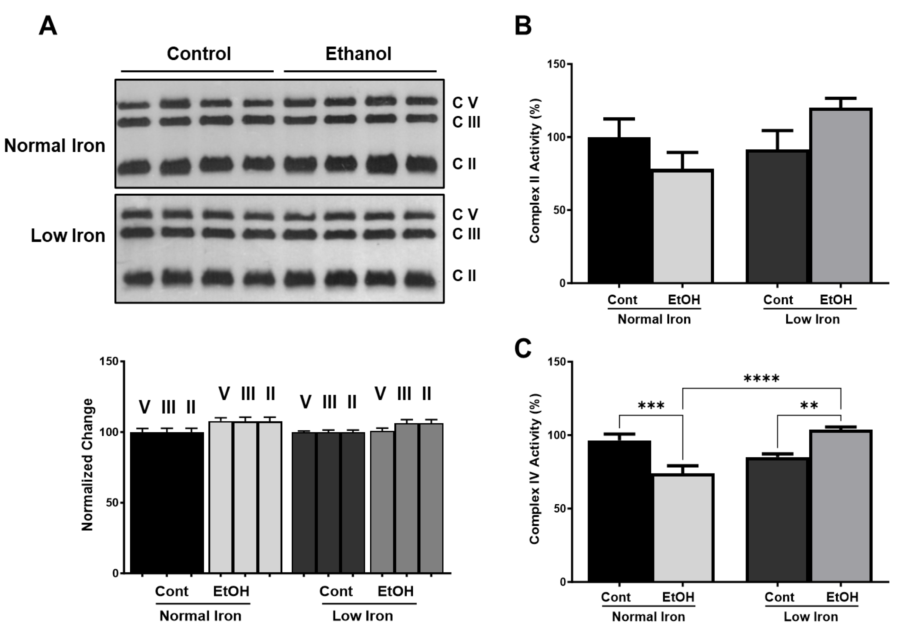 Ijms 25 08344 g006 Ijms 25 08344 g006