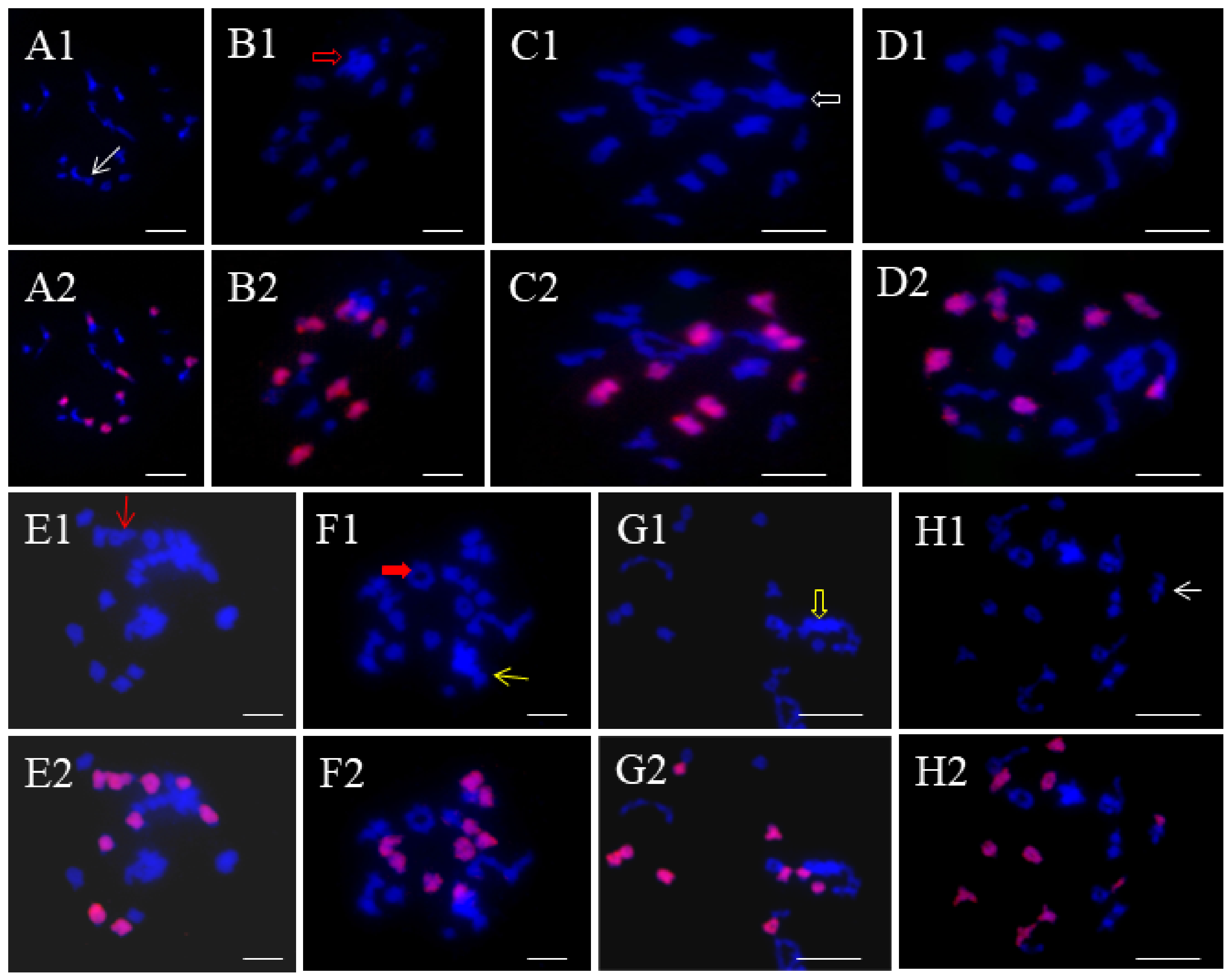 Ijms 25 08368 g005 Ijms 25 08368 g005