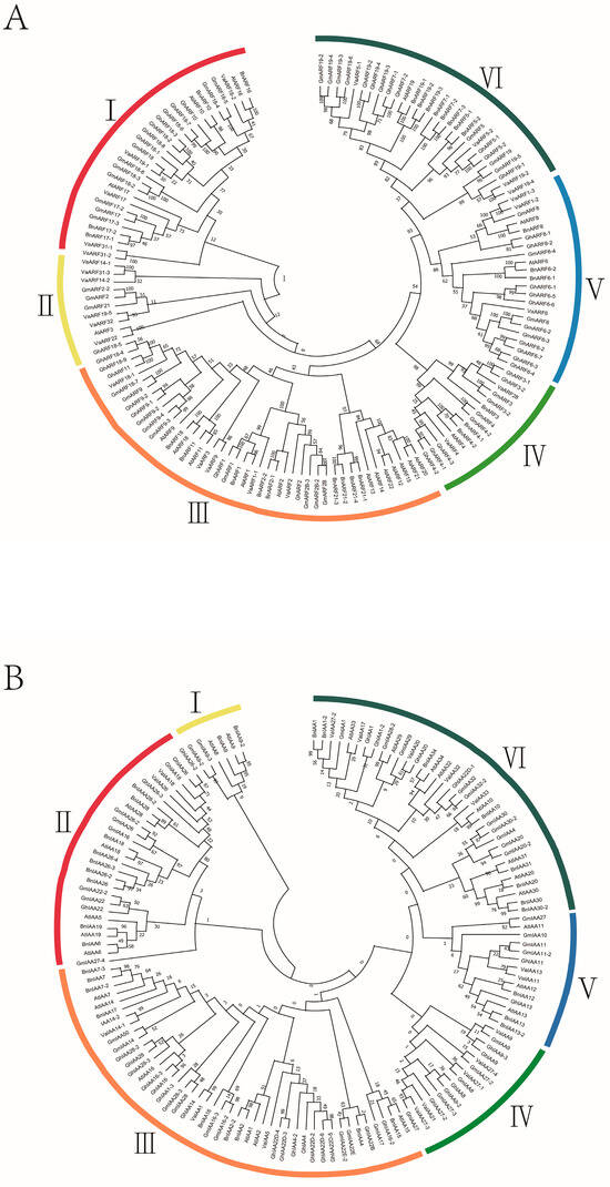 Genome-Wide Identification, Expression, and Interaction
