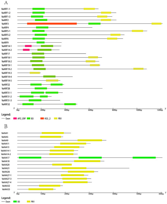 Identifying the Soybean microRNAs Related to Phytophthora