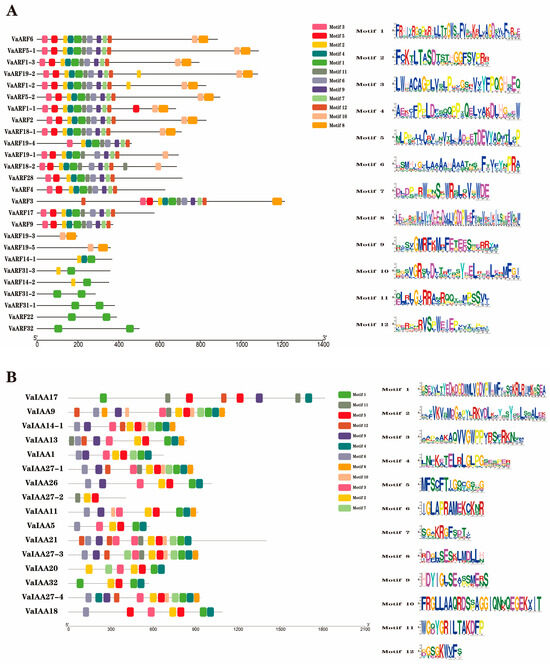 Genome-Wide Identification, Expression, and Interaction