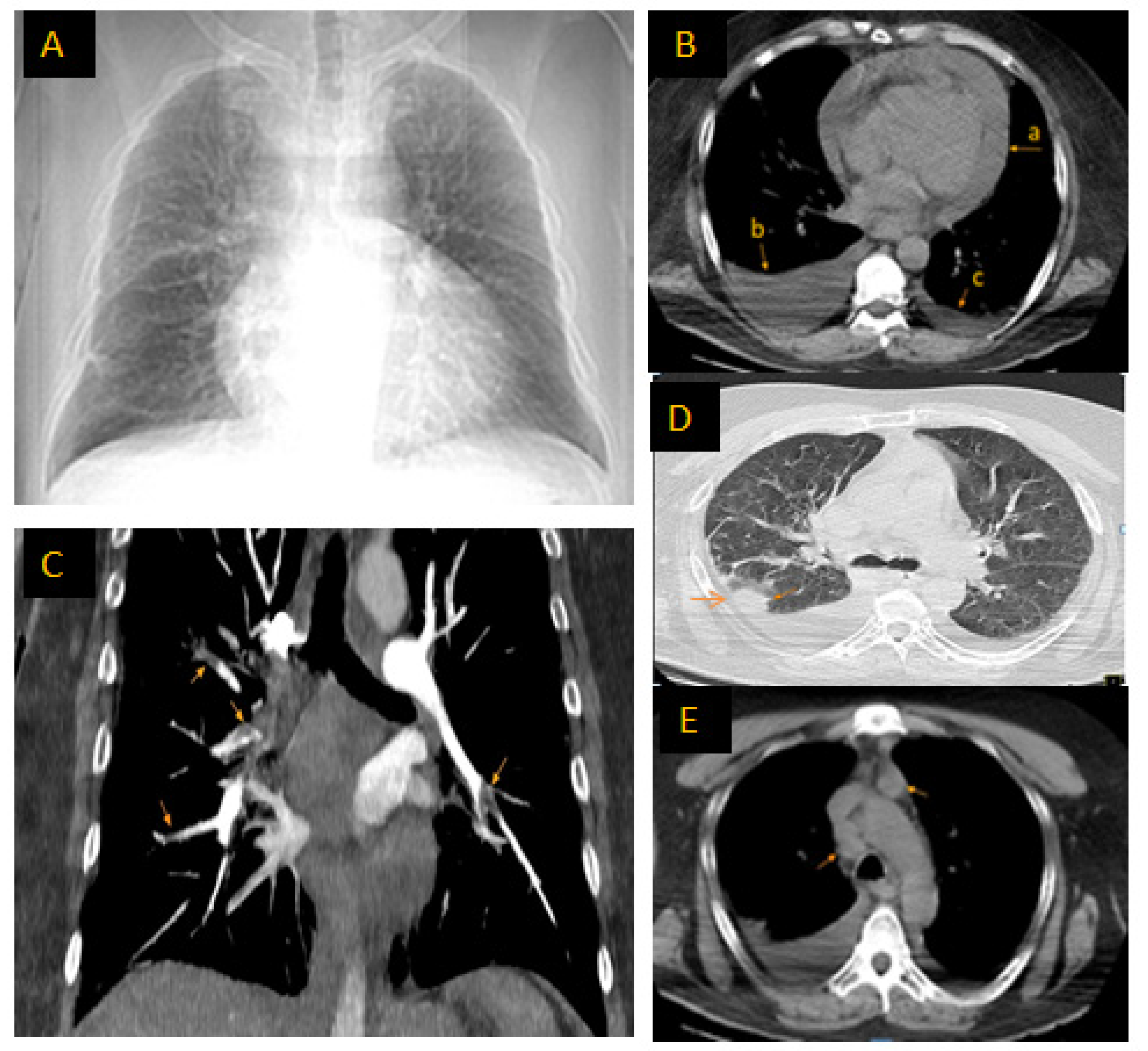 Ijms 25 08413 g001 Ijms 25 08413 g001