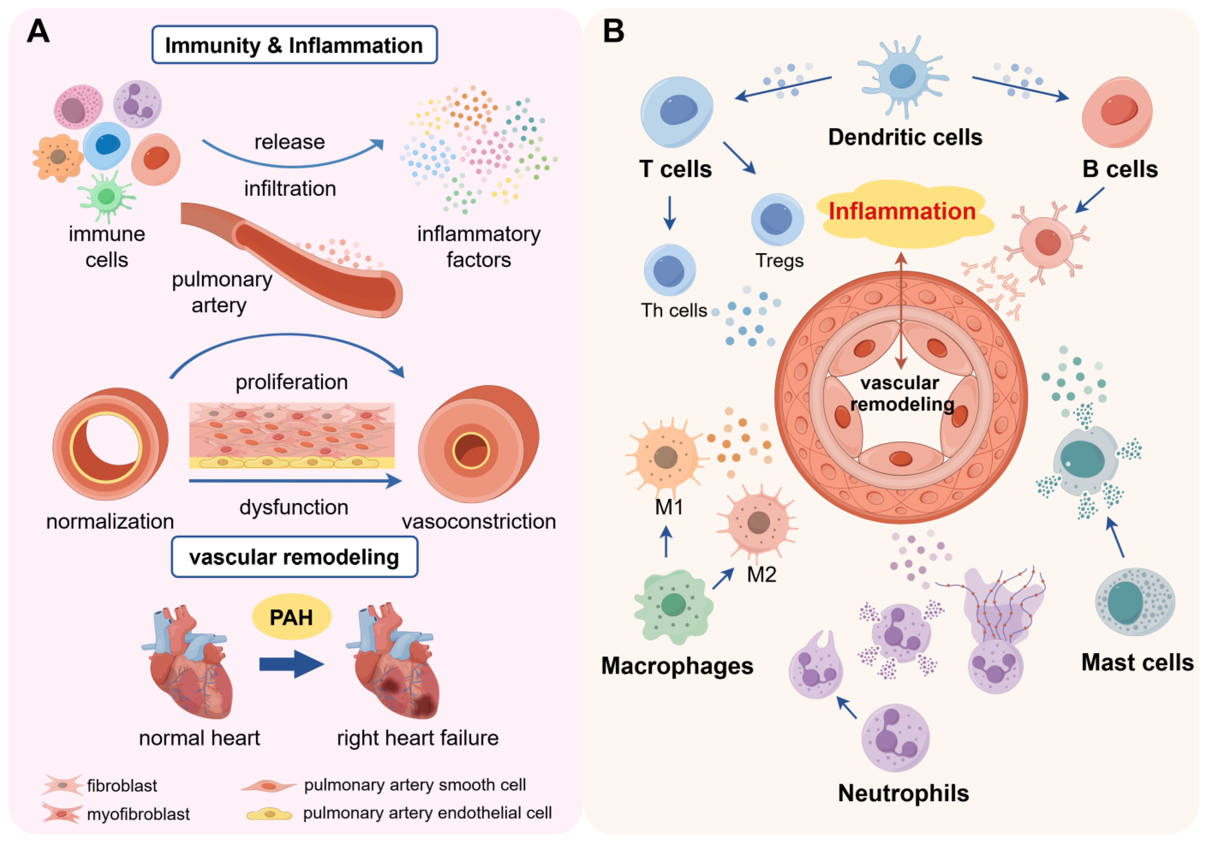 Ijms 25 08427 g001 Ijms 25 08427 g001