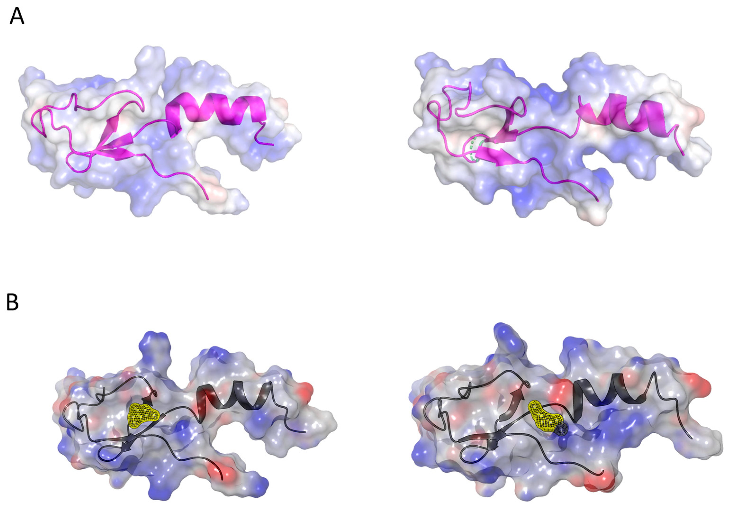 Ijms 25 08430 g006 Ijms 25 08430 g006