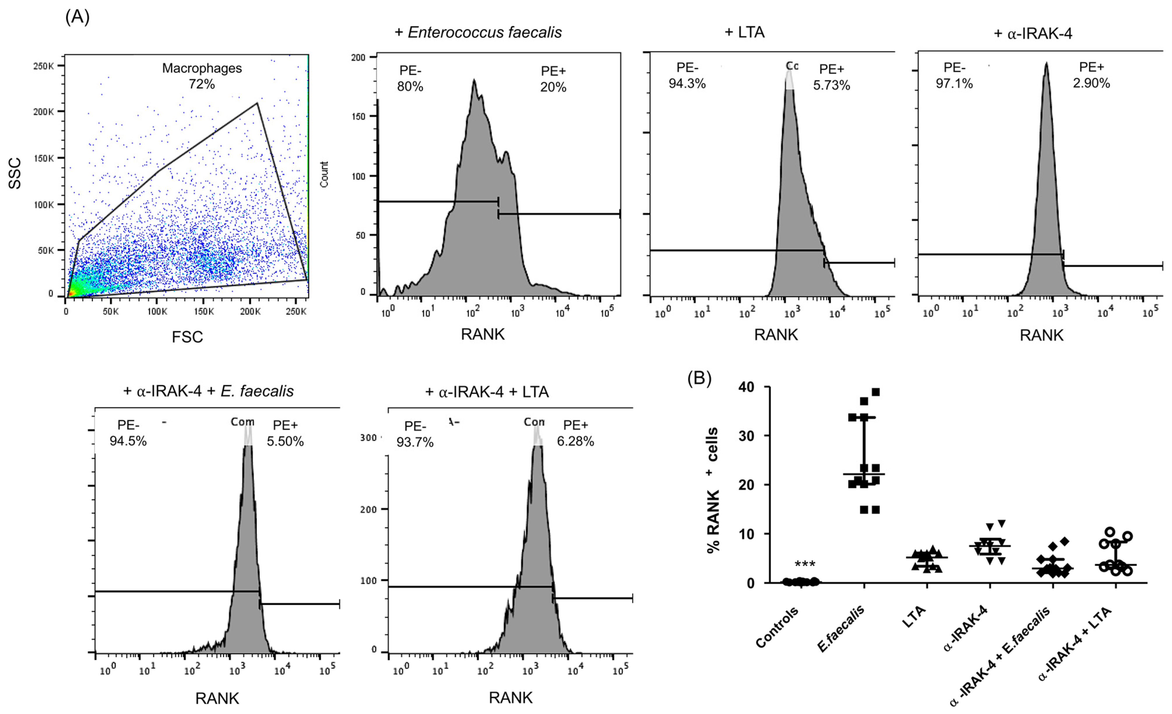 Ijms 25 08434 g001 Ijms 25 08434 g001