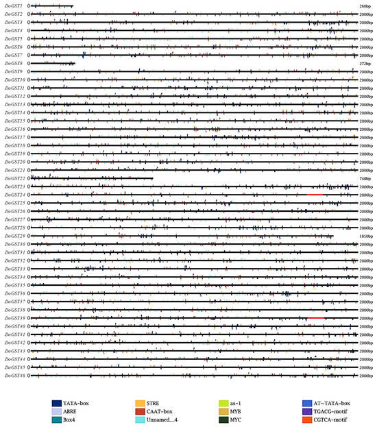 Genome-Wide Identification of Glutathione S-Transferase Family from  Dendrobium officinale and the Functional Characterization of DoGST5 in  Cadmium Tolerance