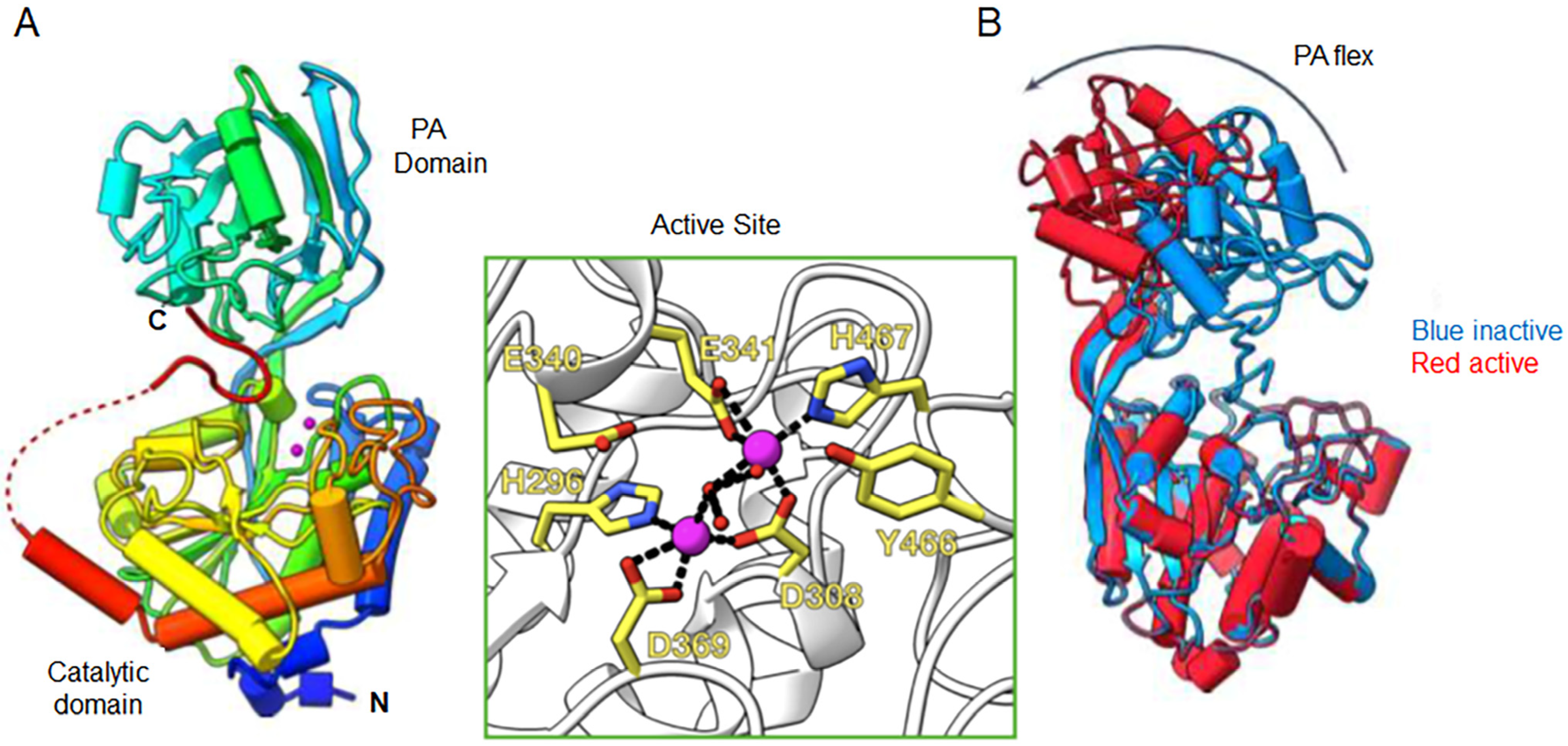 Ijms 25 08444 g002 Ijms 25 08444 g002