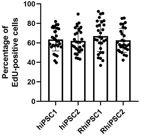 その他 86 The Efficiency of In Vitro Differentiation of Primate iPSCs