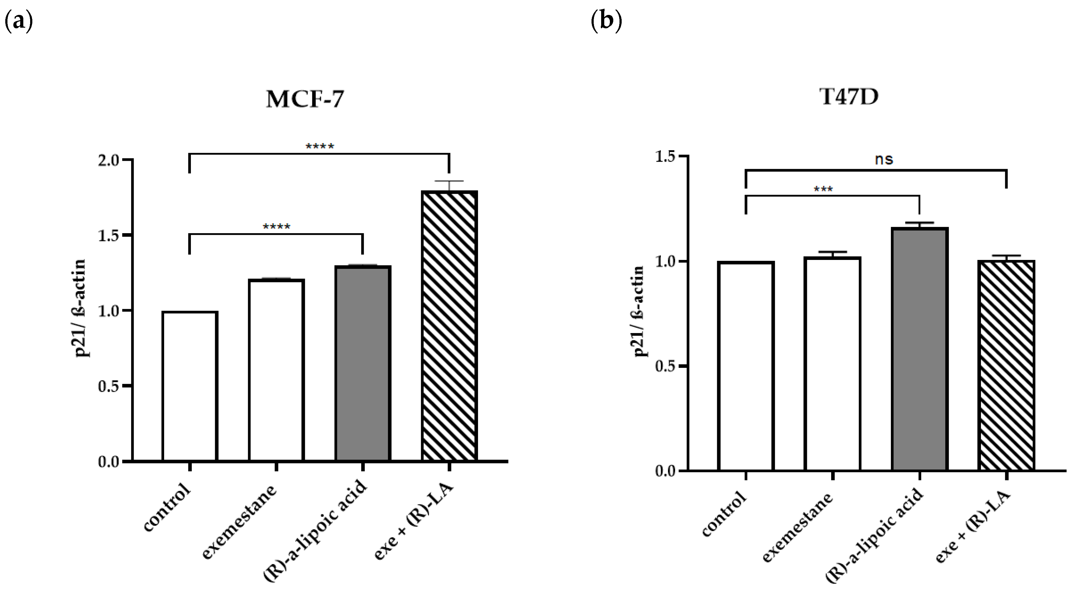 Ijms 25 08455 g013 Ijms 25 08455 g013