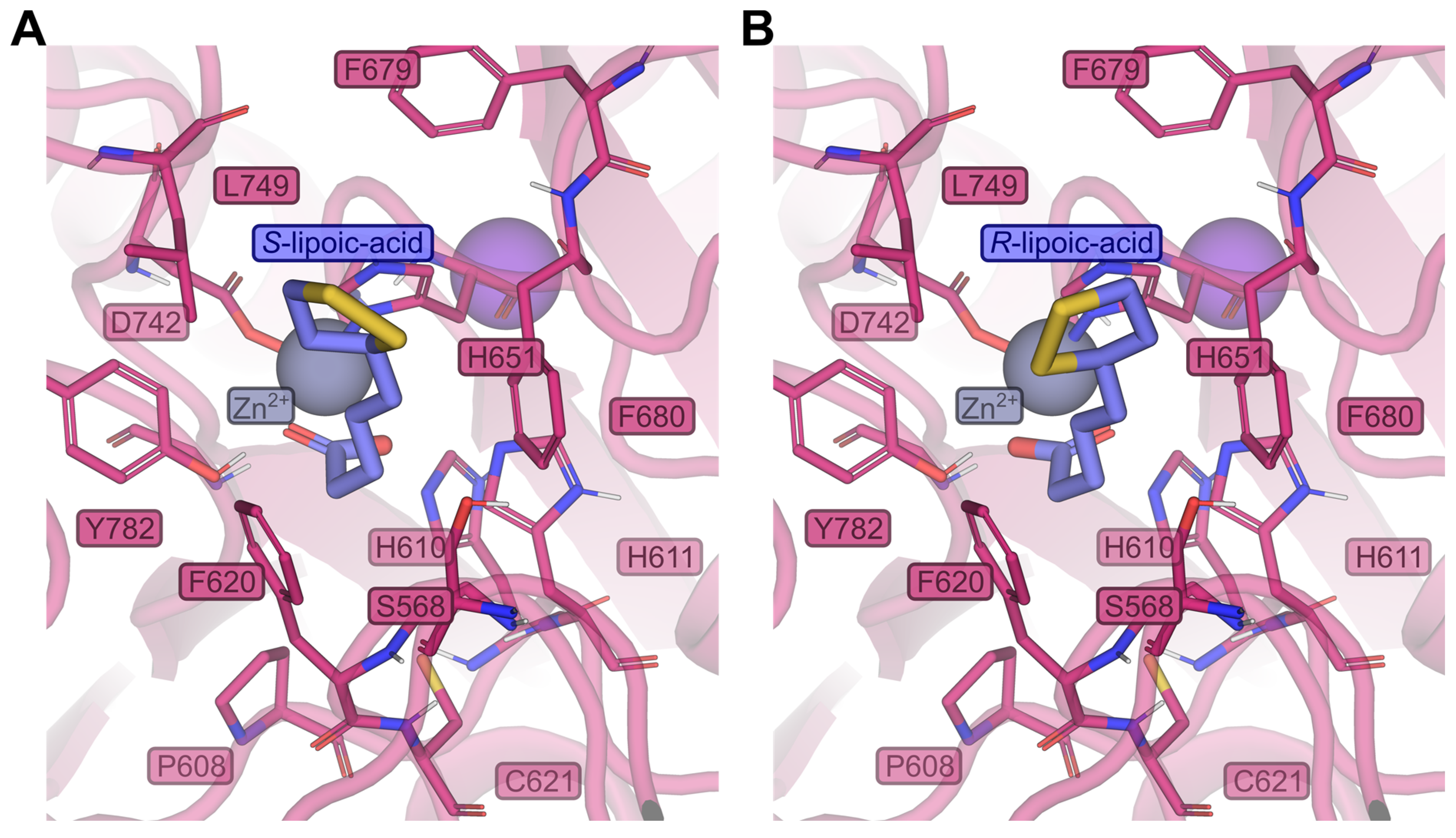 Ijms 25 08455 g016 Ijms 25 08455 g016