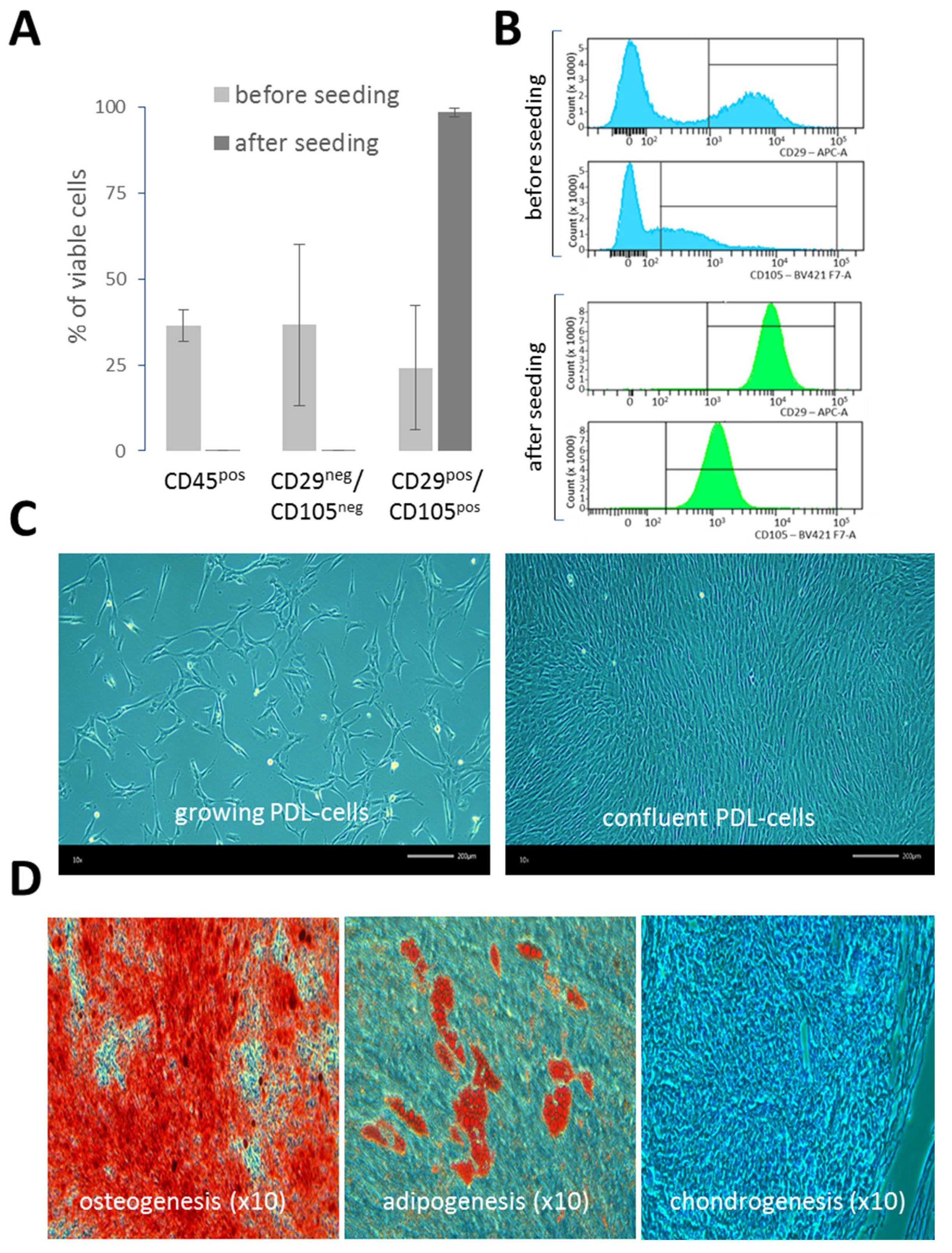 Ijms 25 08466 g001 Ijms 25 08466 g001