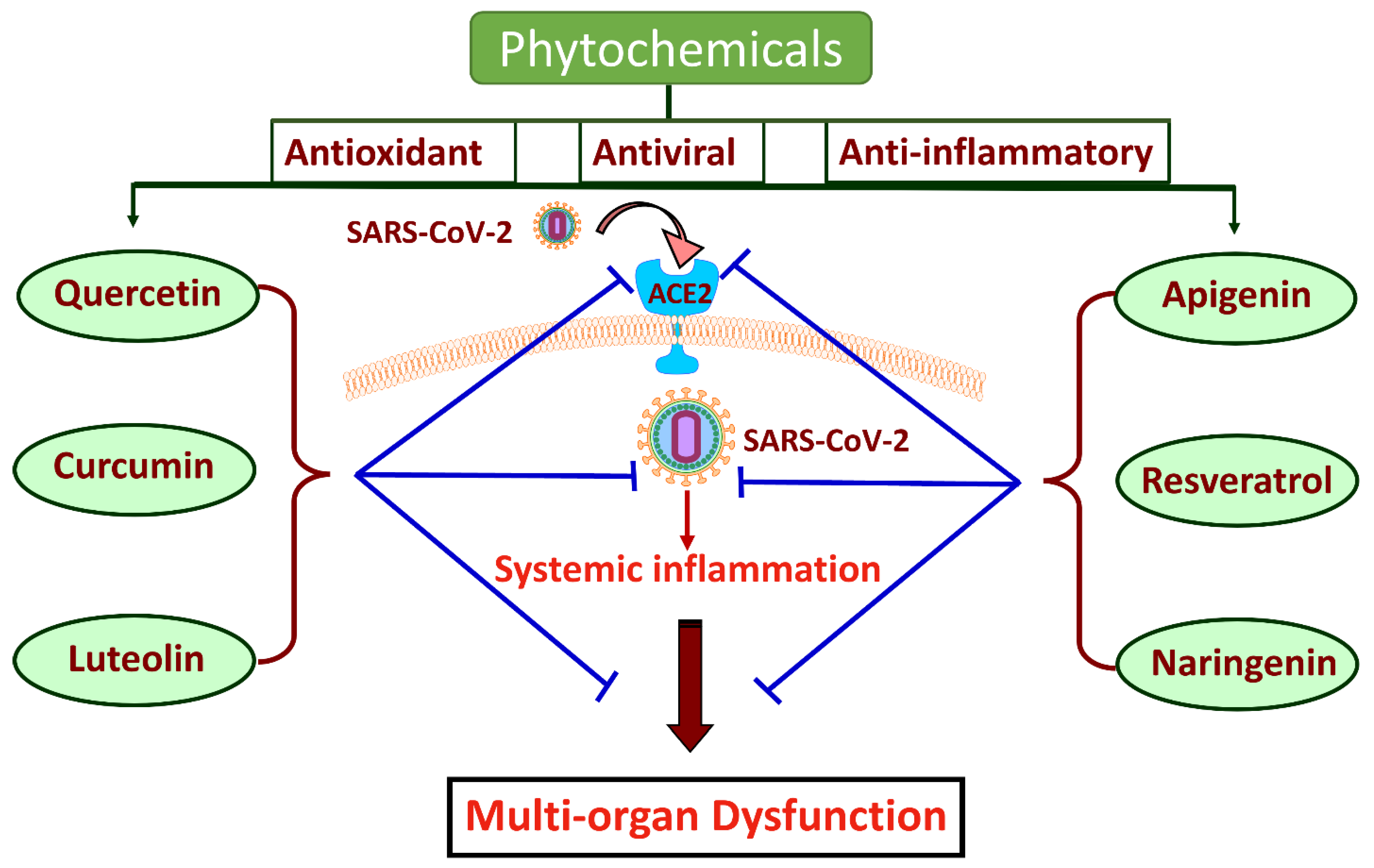 Ijms 25 08481 g002 Ijms 25 08481 g002