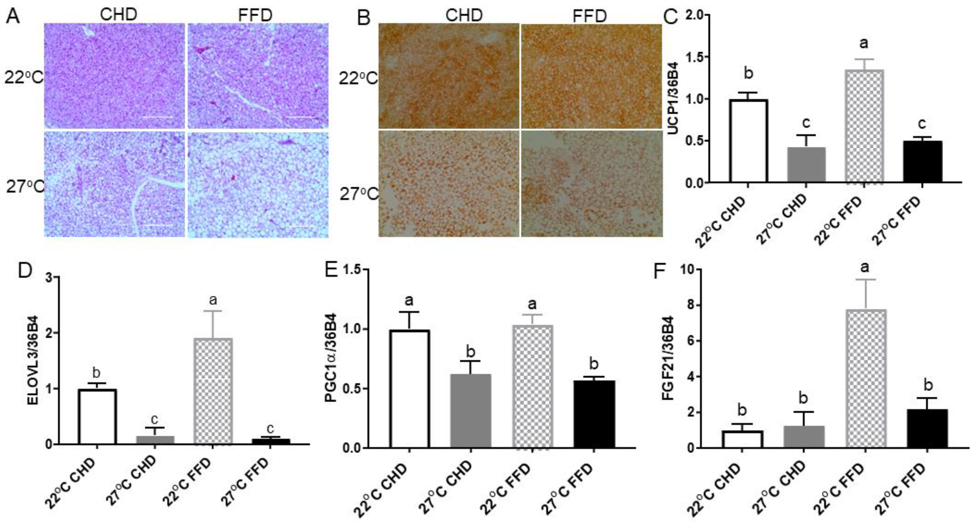 Ijms 25 08482 g003 Ijms 25 08482 g003