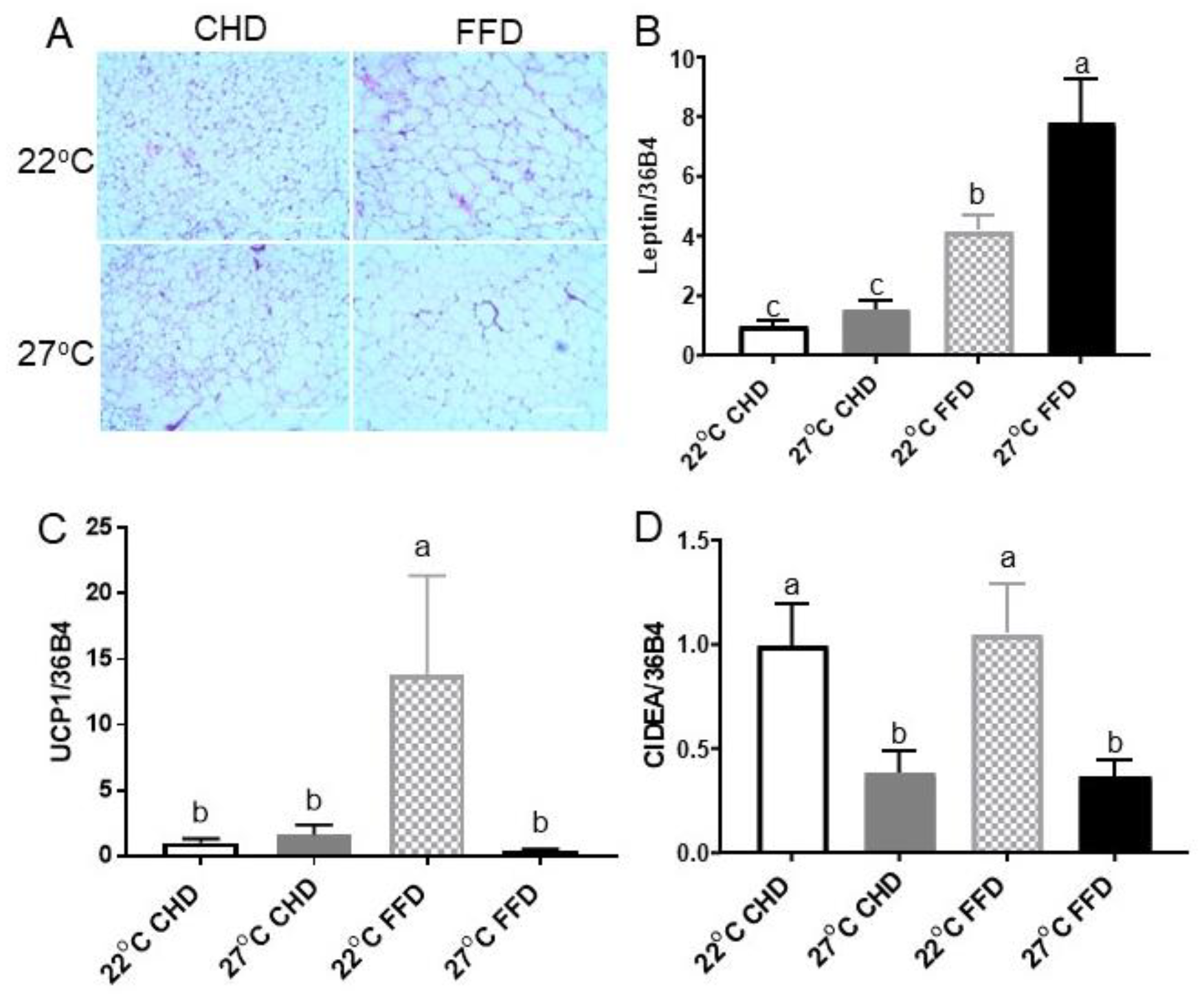 Ijms 25 08482 g004 Ijms 25 08482 g004
