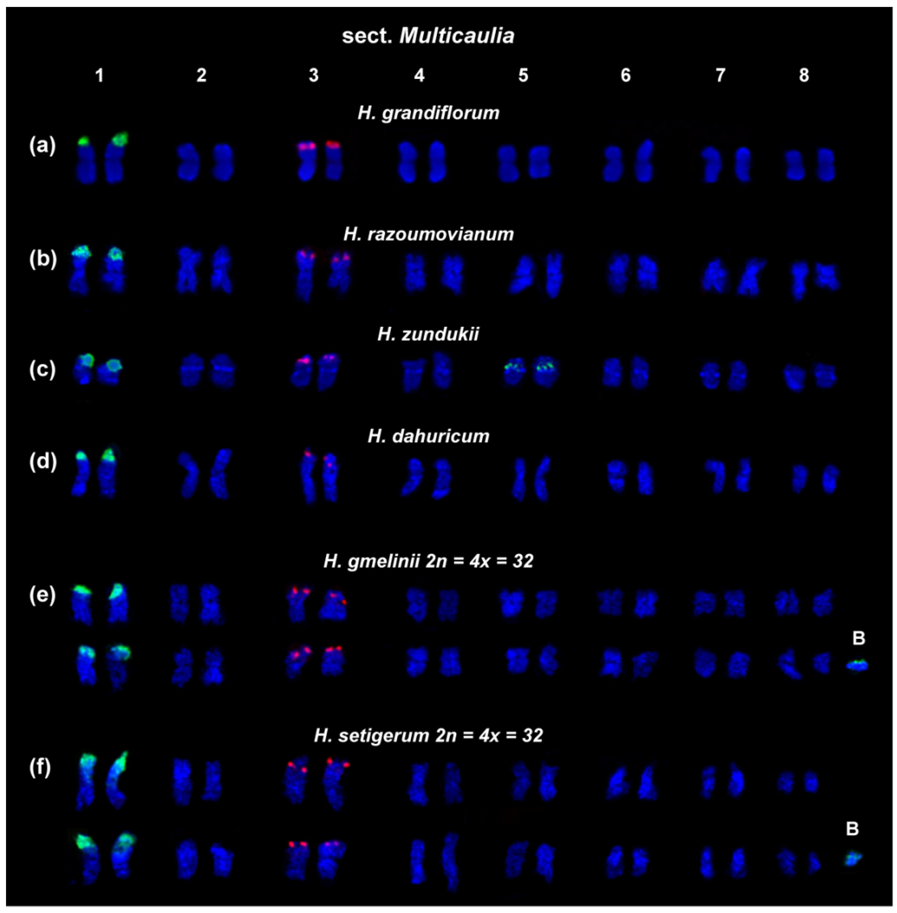 Ijms 25 08489 g003 Ijms 25 08489 g003