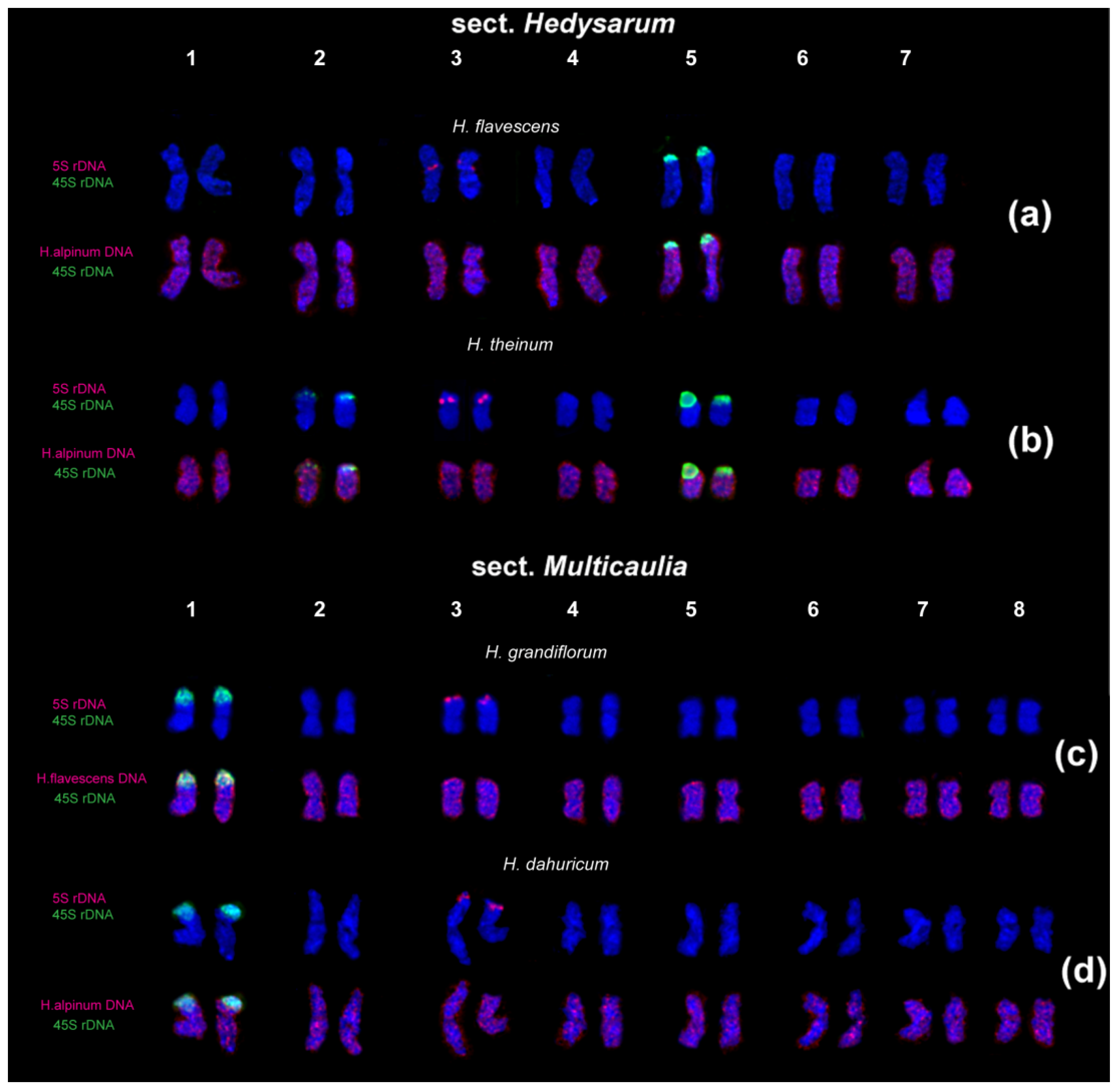 Ijms 25 08489 g006 Ijms 25 08489 g006