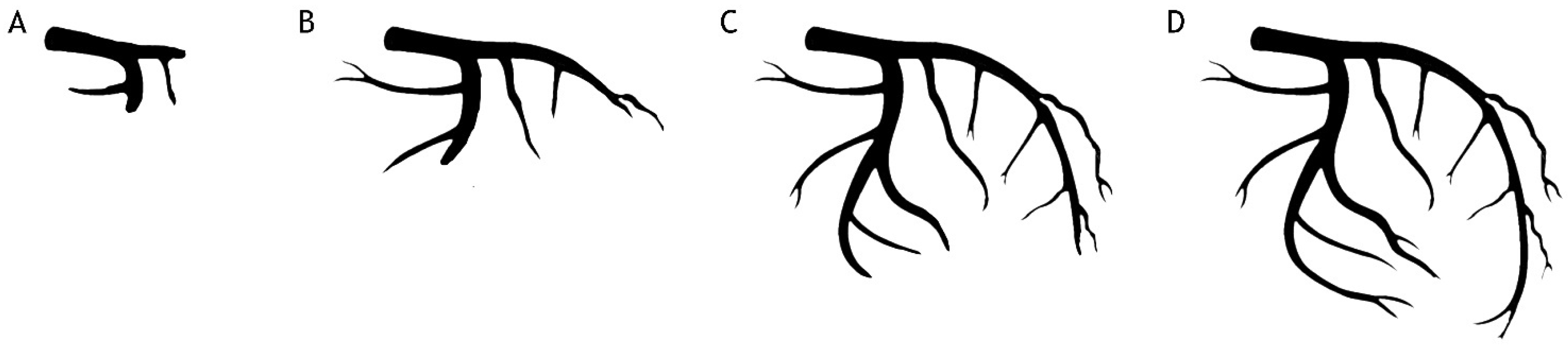 Ijms 25 08504 g003 Ijms 25 08504 g003