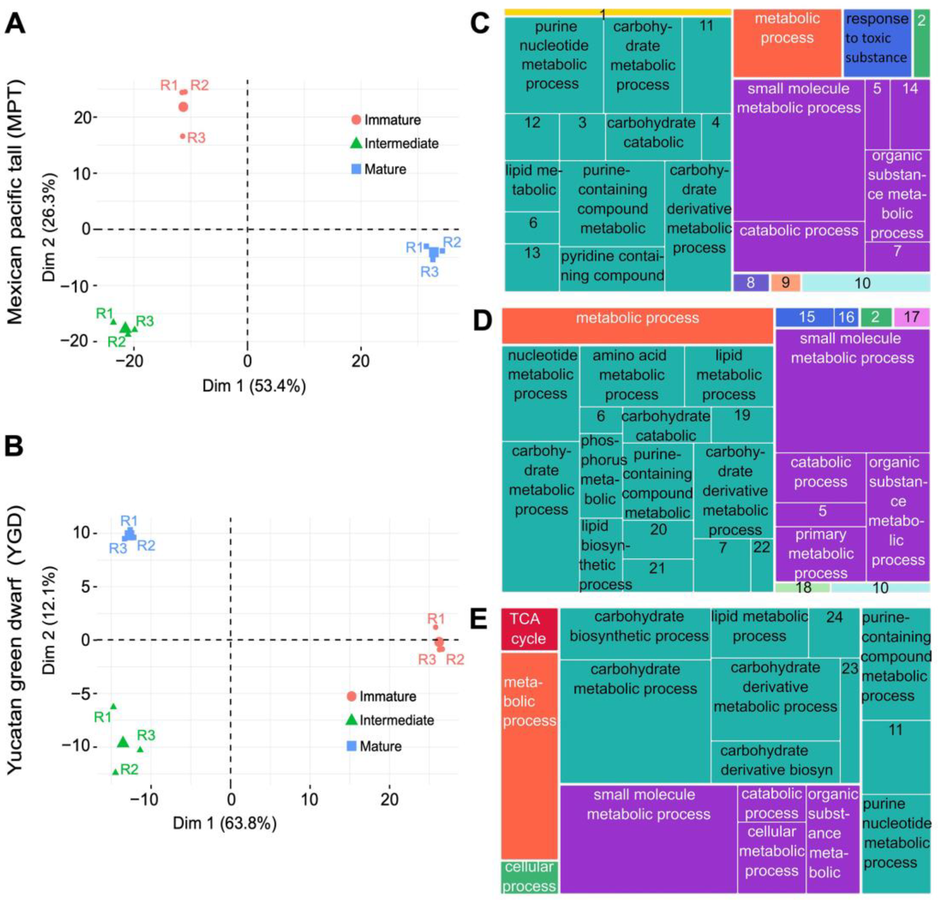 Ijms 25 08507 g002 Ijms 25 08507 g002
