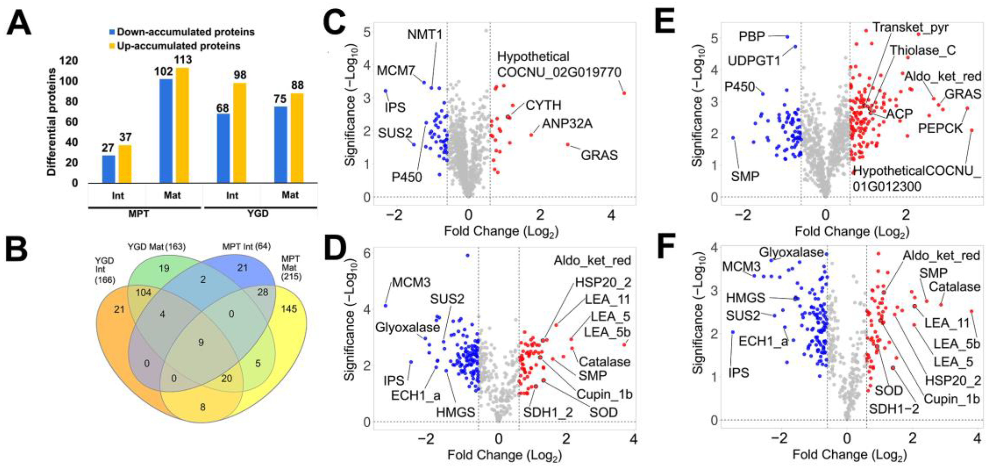 Ijms 25 08507 g003 Ijms 25 08507 g003