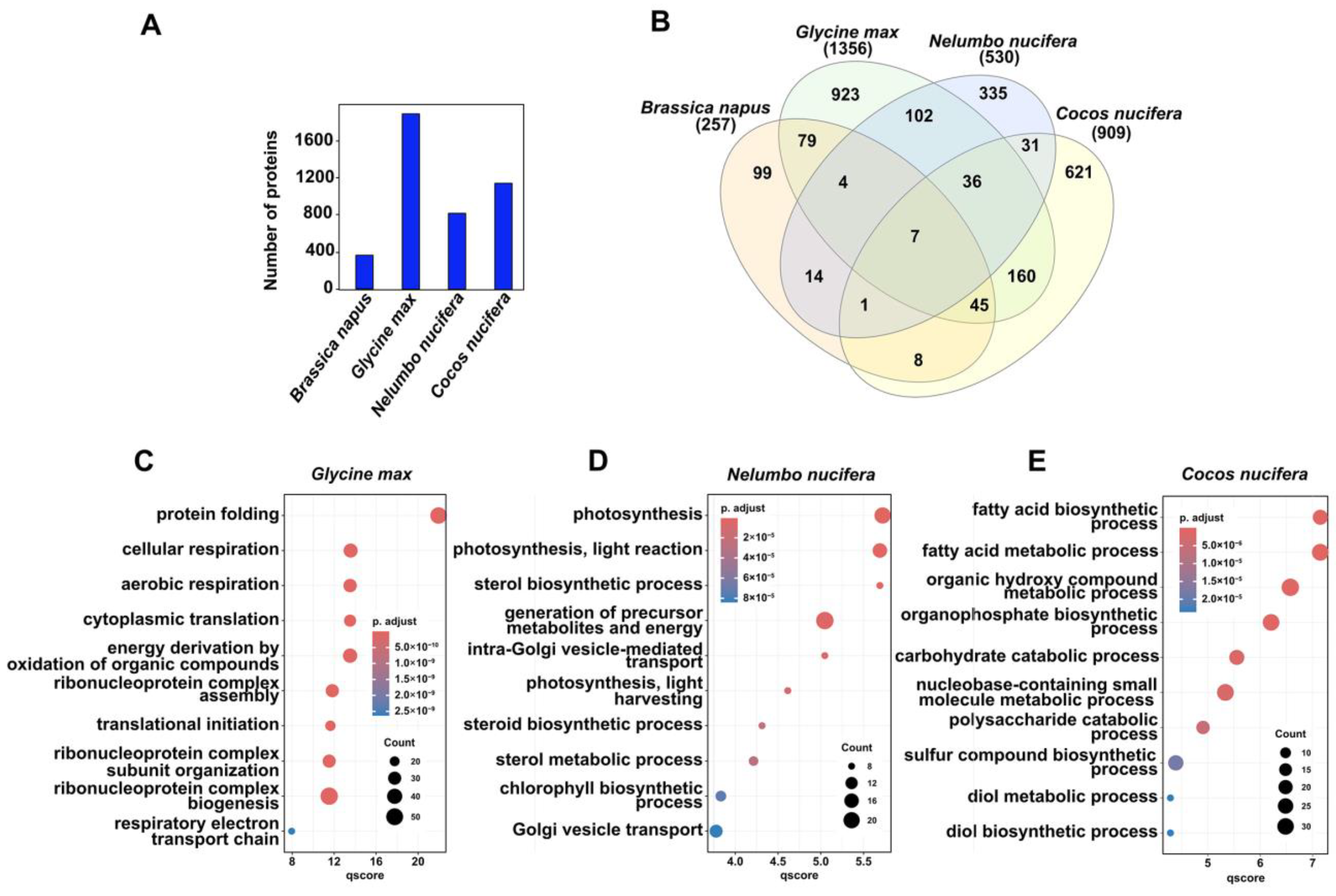 Ijms 25 08507 g005 Ijms 25 08507 g005