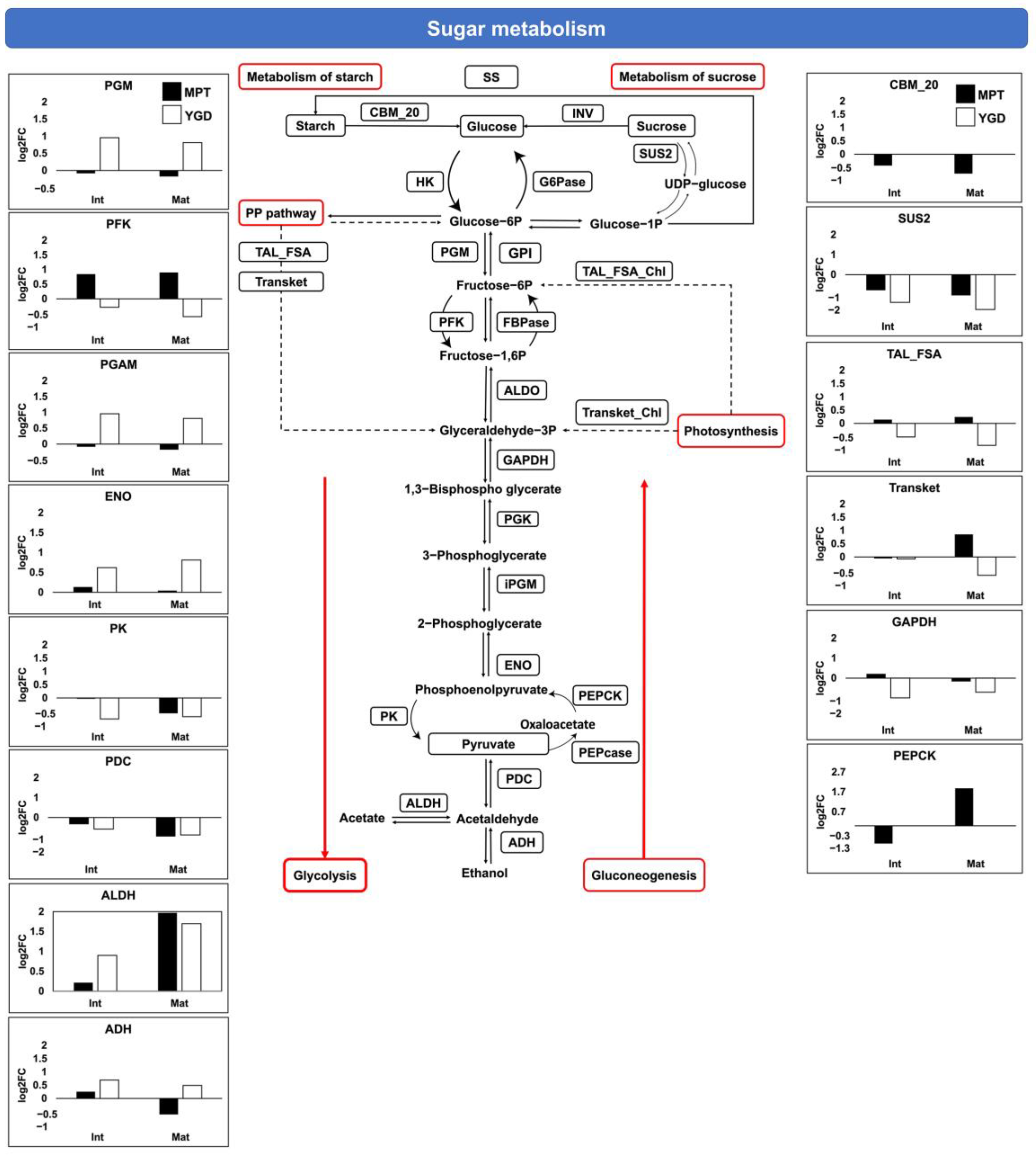 Ijms 25 08507 g007 Ijms 25 08507 g007