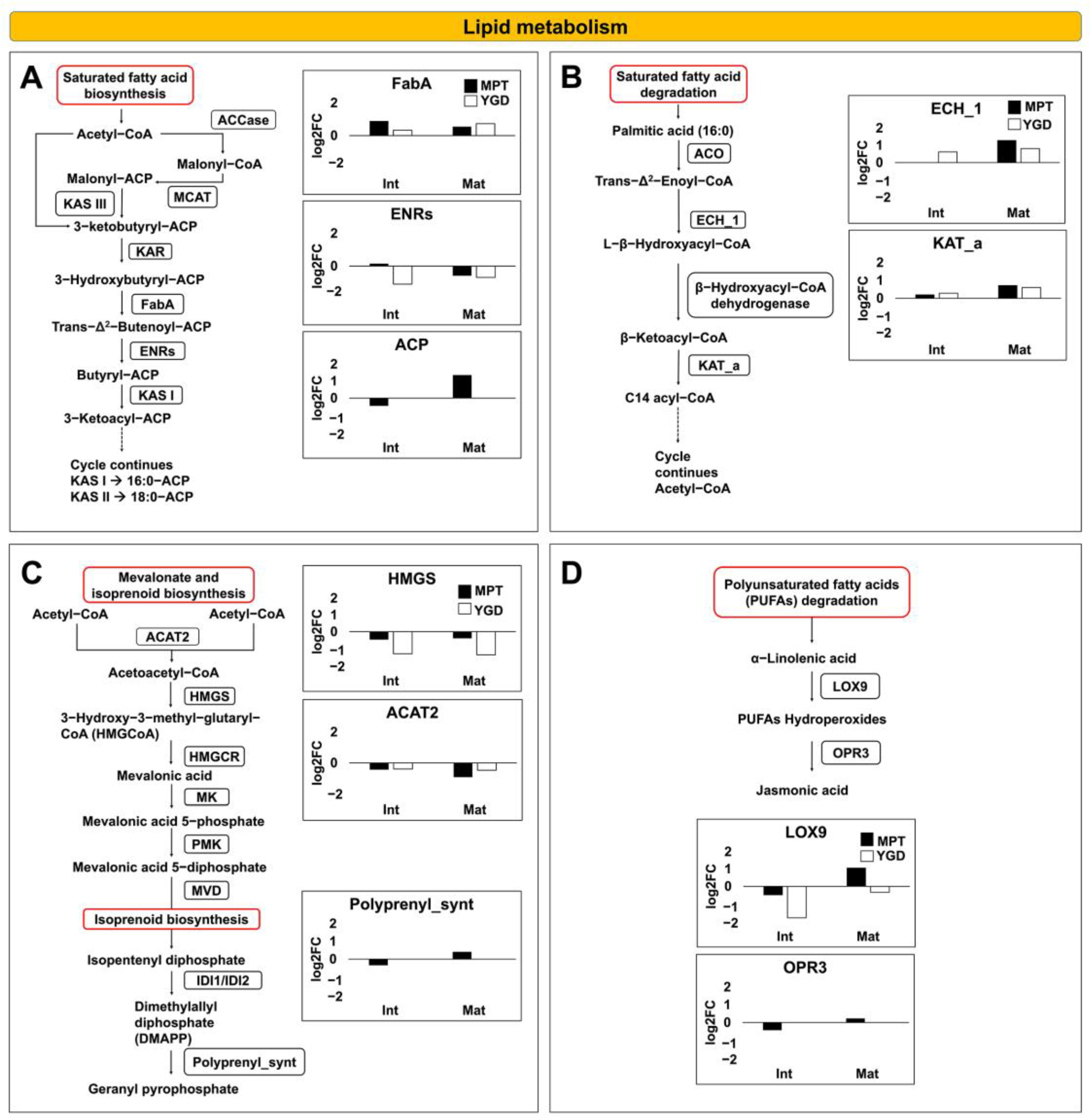 Ijms 25 08507 g008 Ijms 25 08507 g008