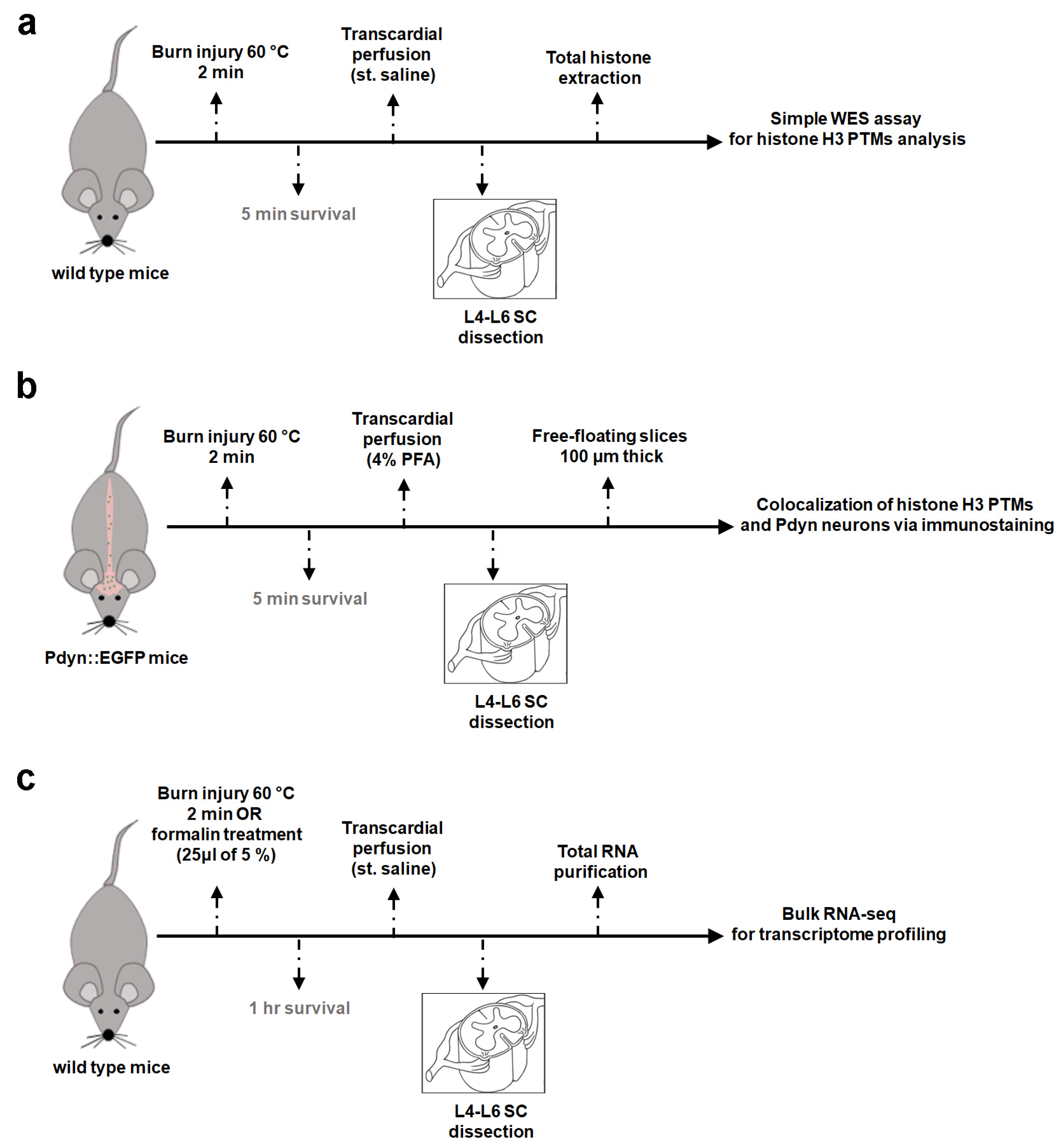 Ijms 25 08510 g001 Ijms 25 08510 g001