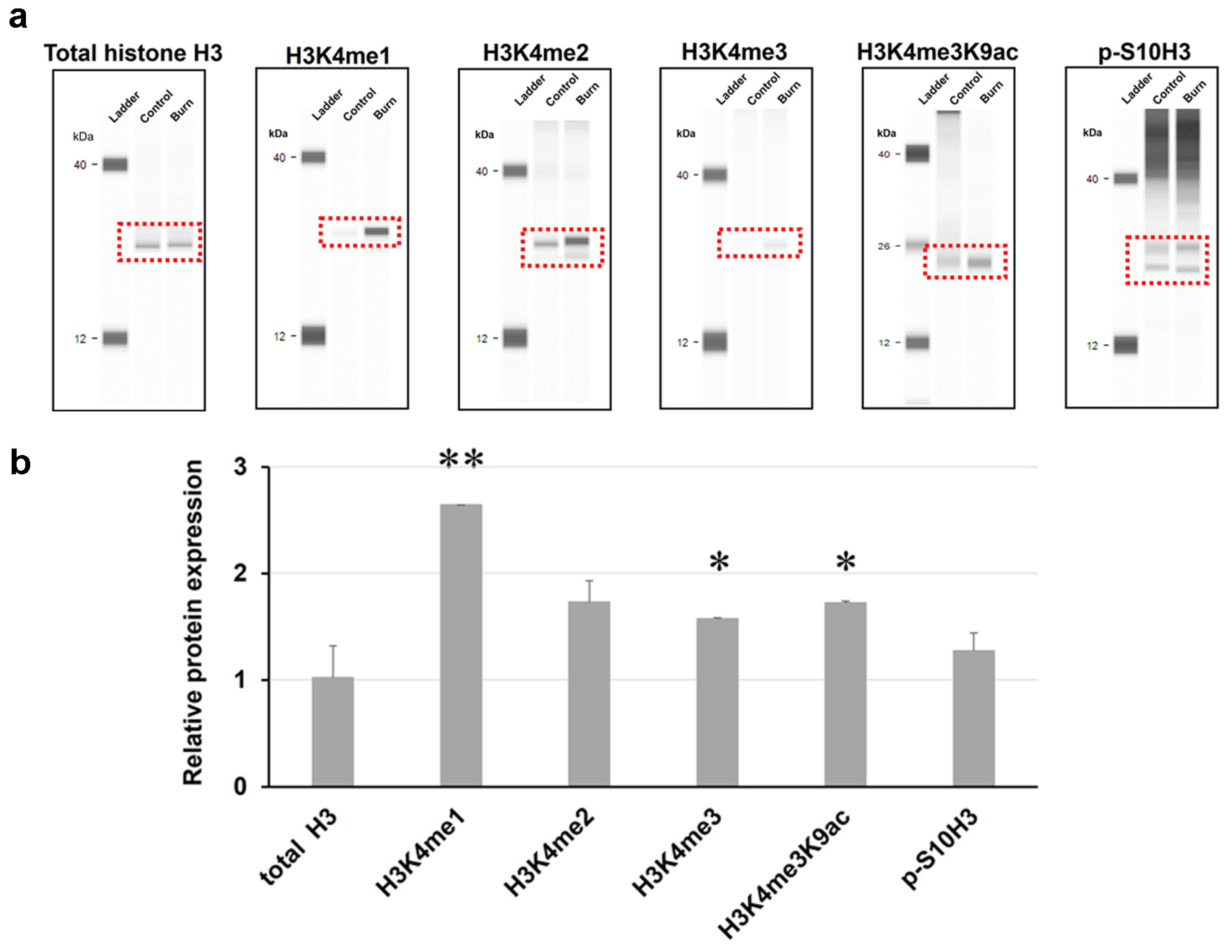 Ijms 25 08510 g002 Ijms 25 08510 g002
