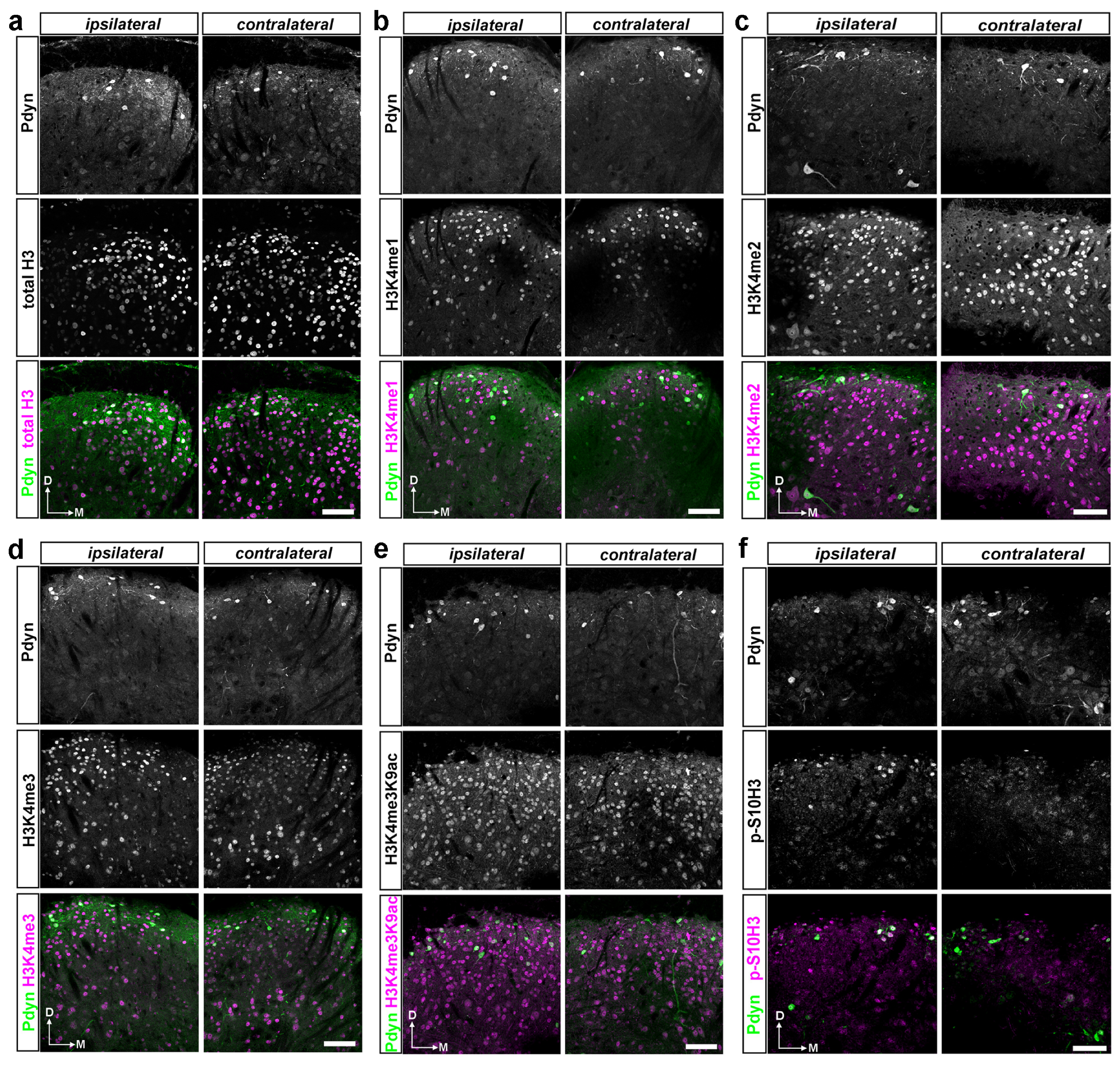 Ijms 25 08510 g005 Ijms 25 08510 g005