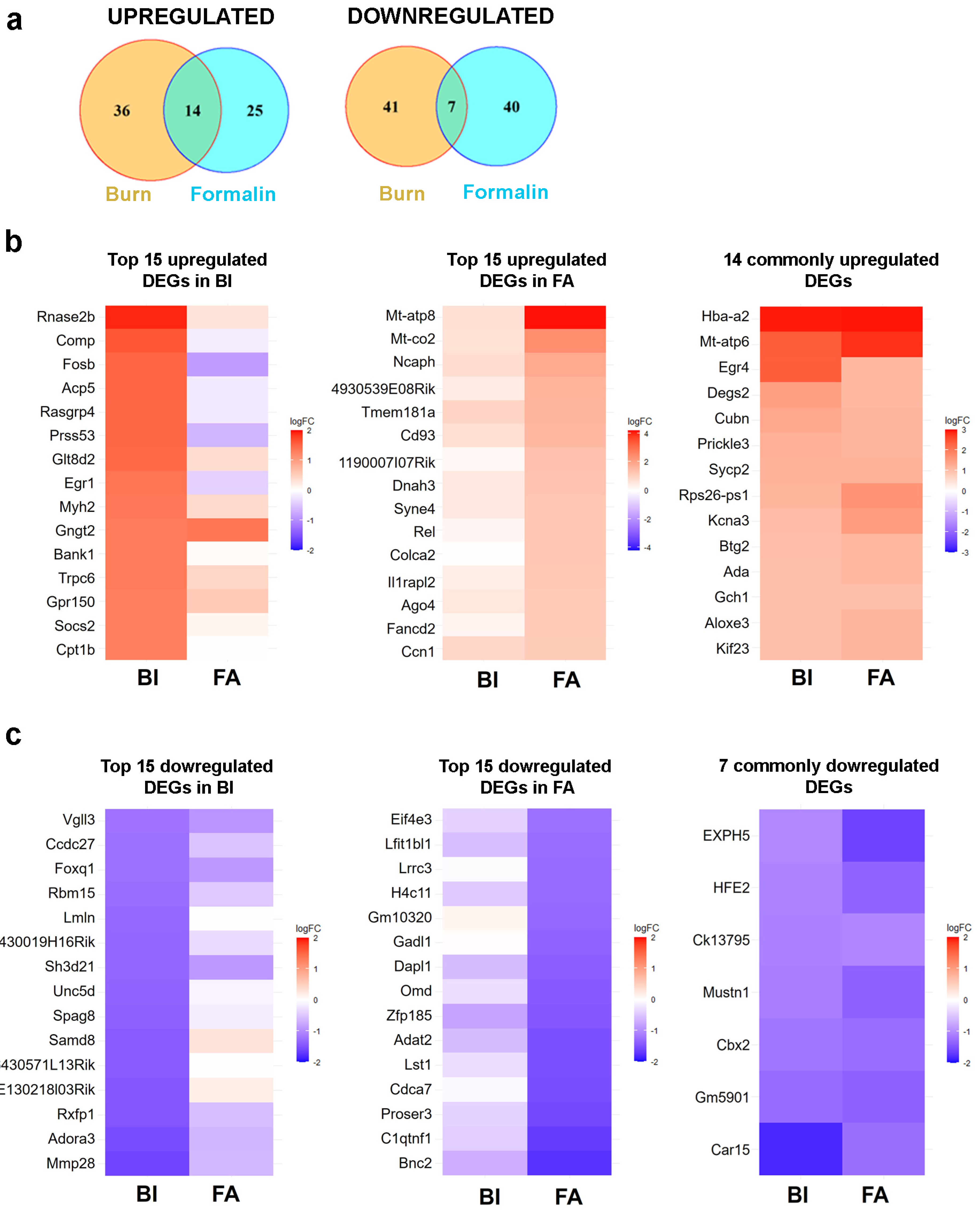 Ijms 25 08510 g006 Ijms 25 08510 g006