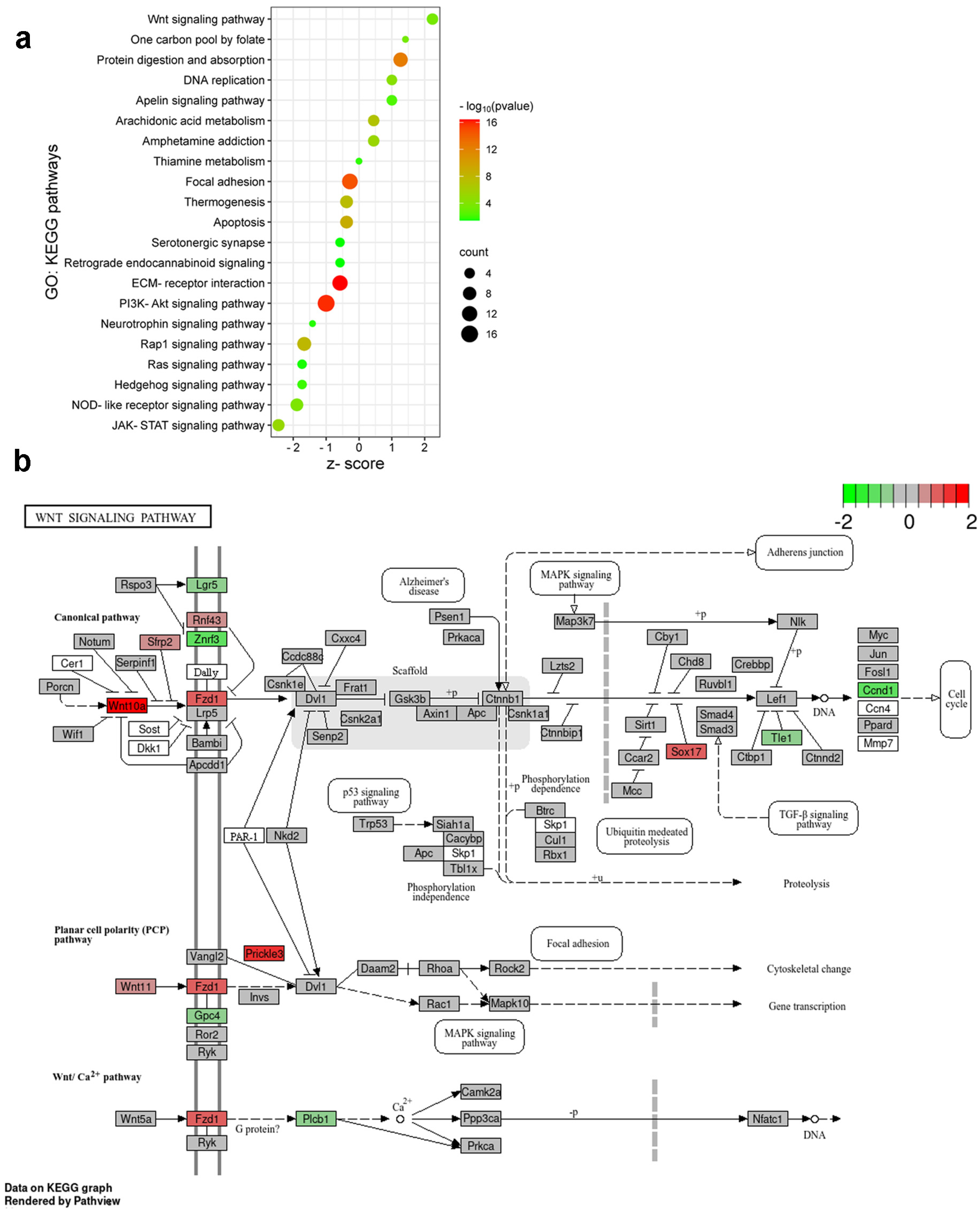Ijms 25 08510 g007 Ijms 25 08510 g007
