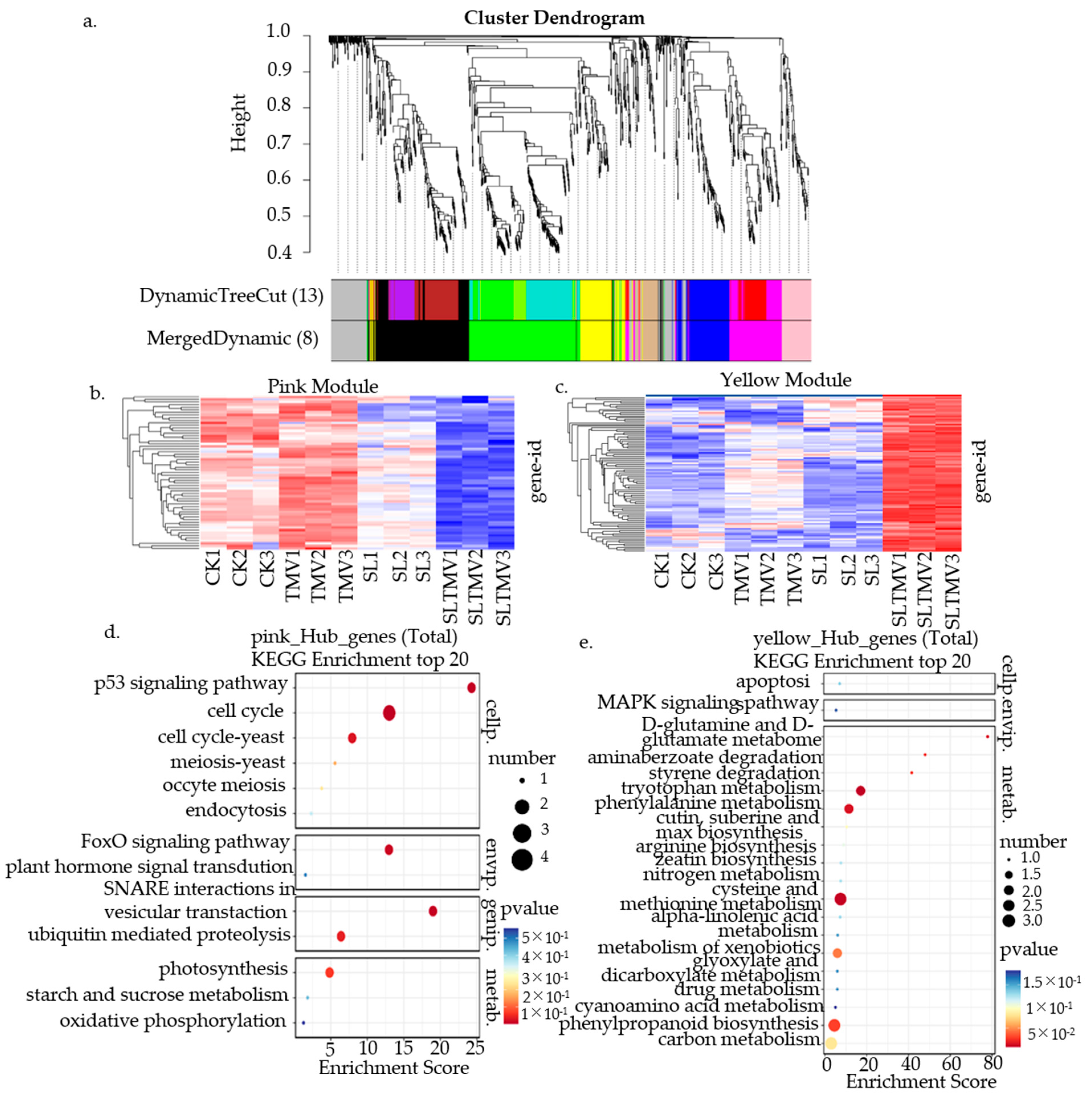 Ijms 25 08518 g007 Ijms 25 08518 g007