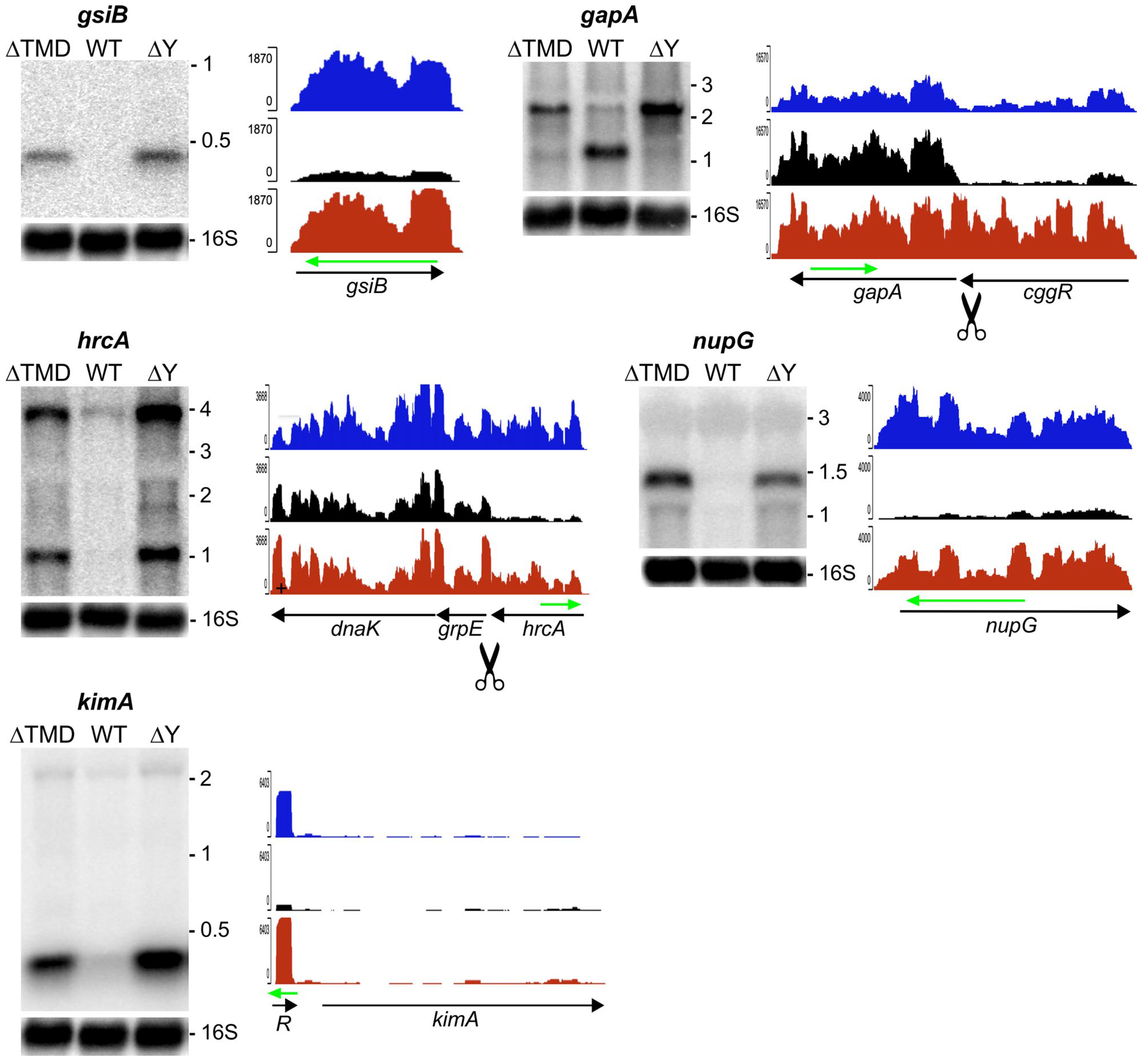 Ijms 25 08537 g003 Ijms 25 08537 g003