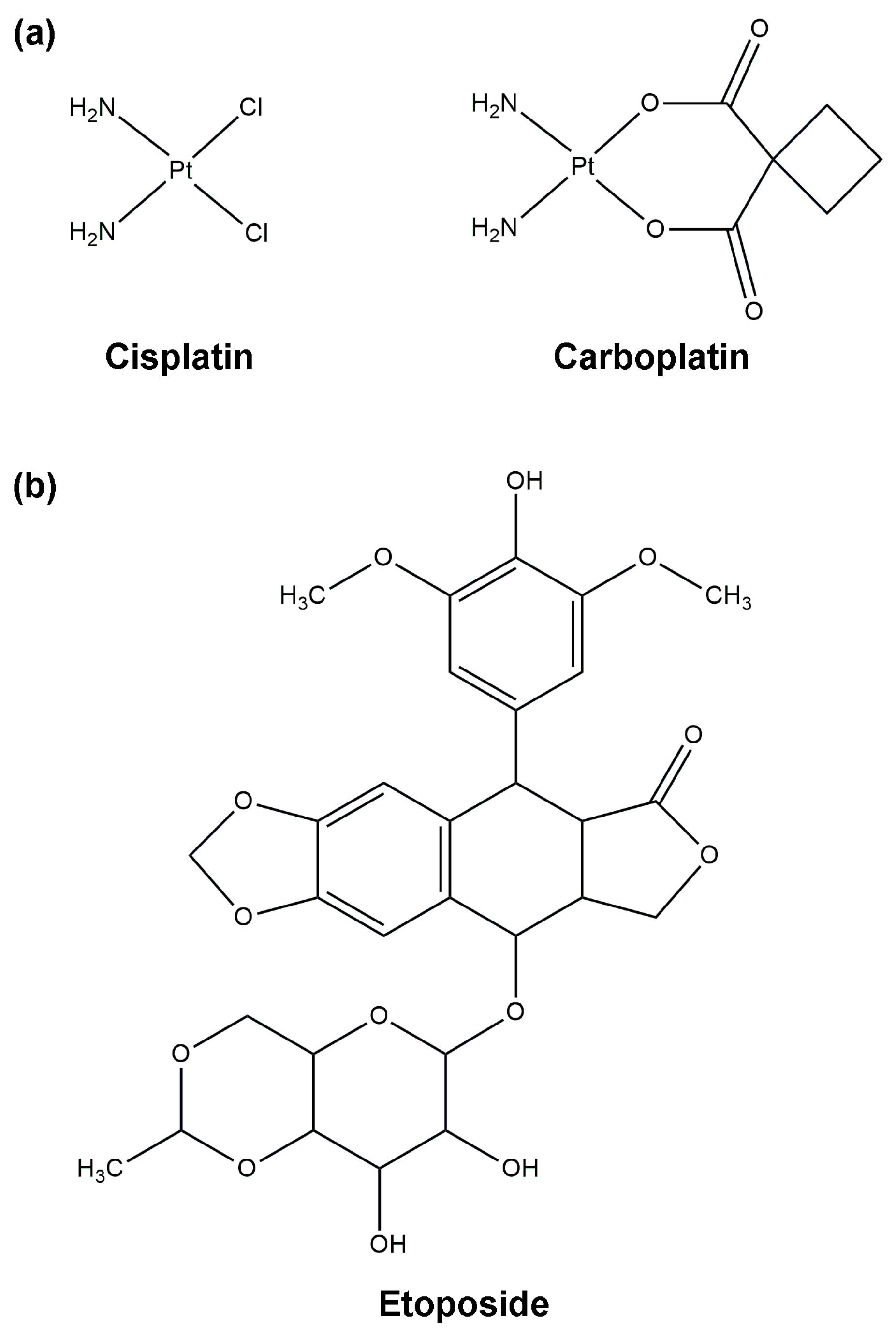 Ijms 25 08568 g002 Ijms 25 08568 g002