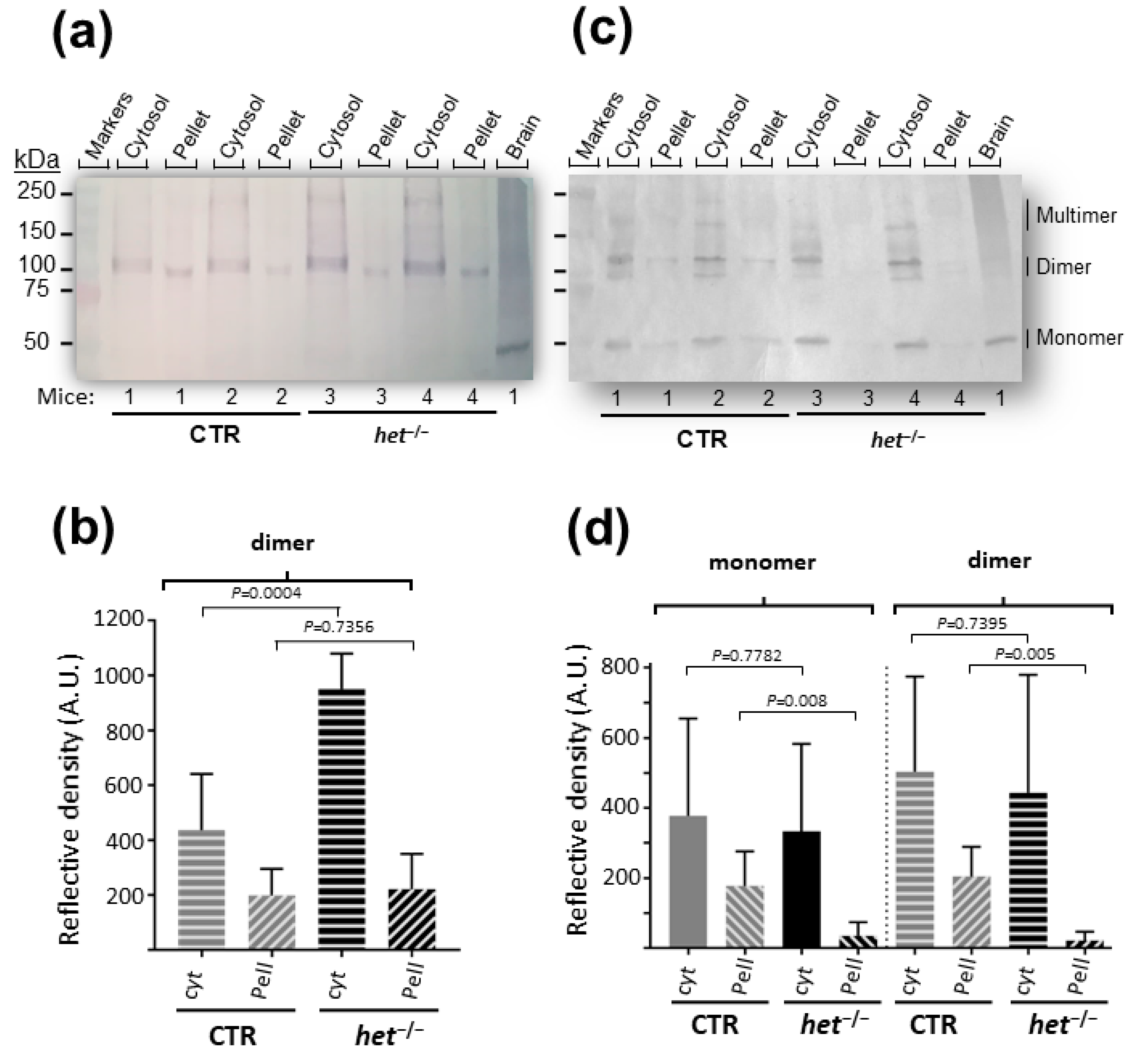 Ijms 25 08577 g001 Ijms 25 08577 g001